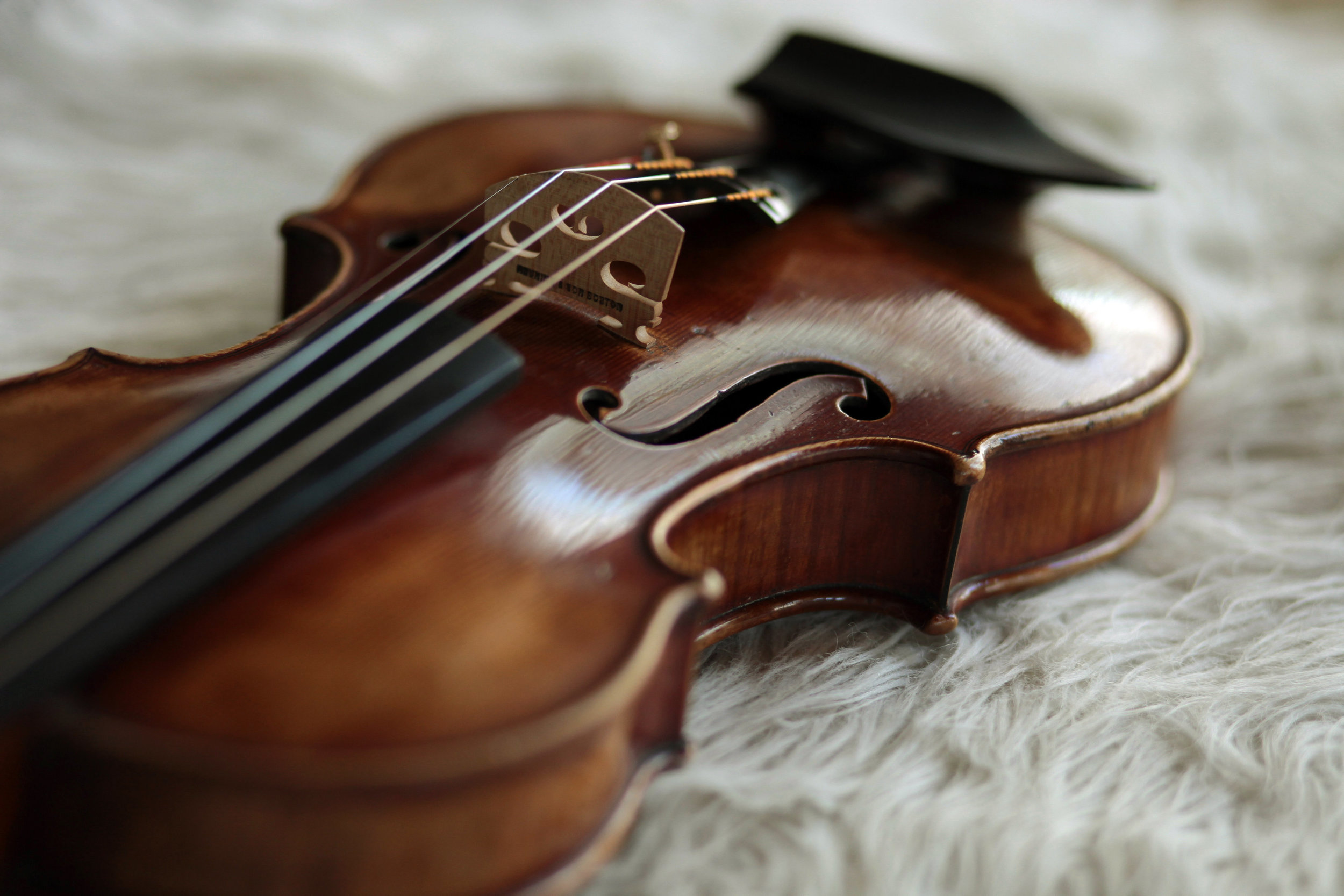 RF Violin.jpg