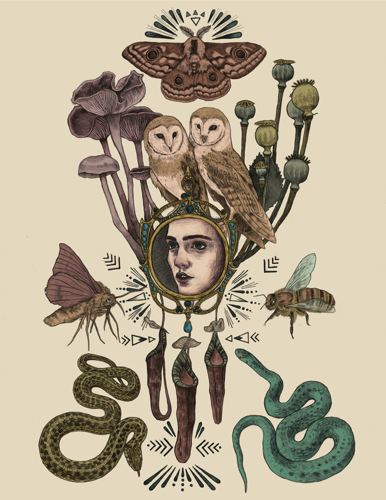 The Naturalist