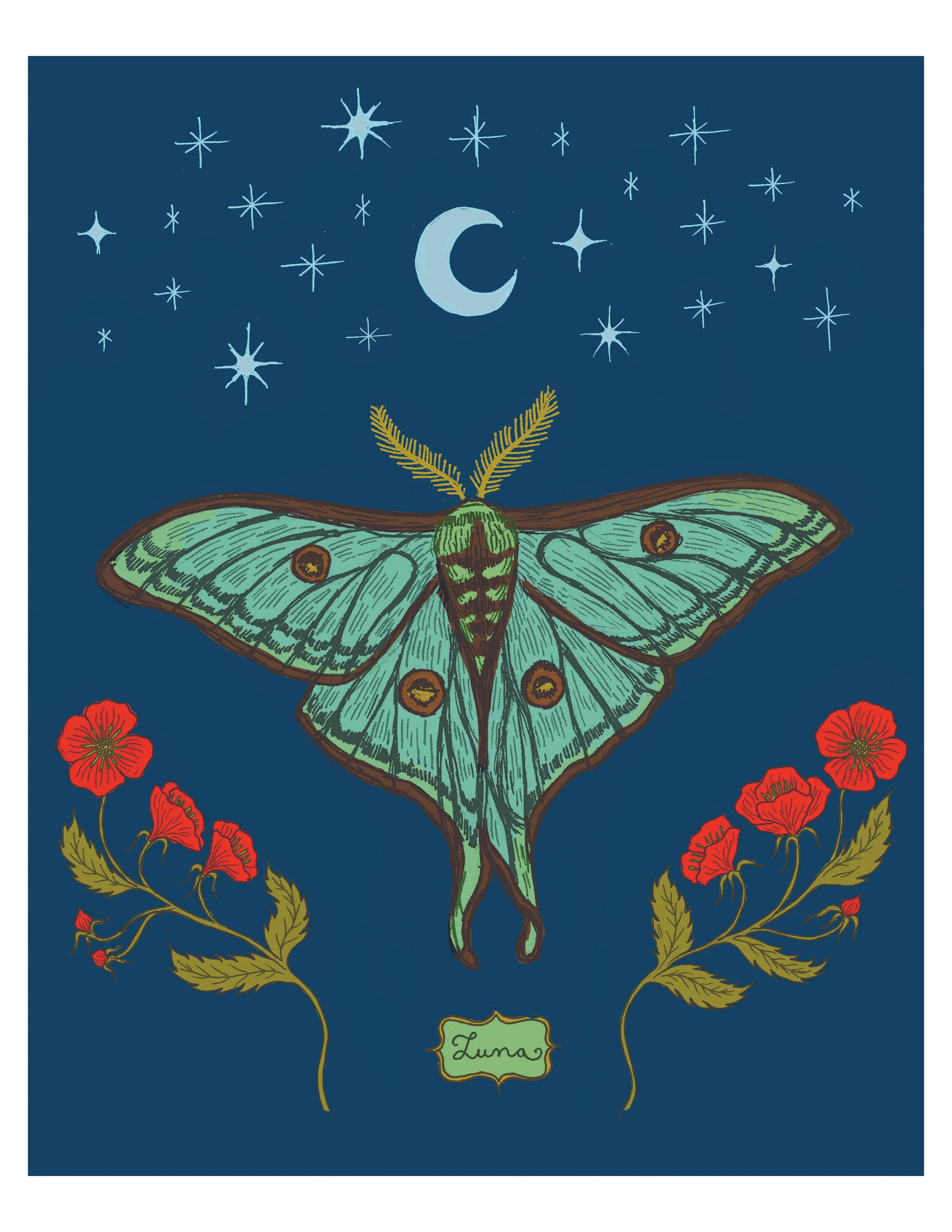 luna moth 8x10 print.jpg