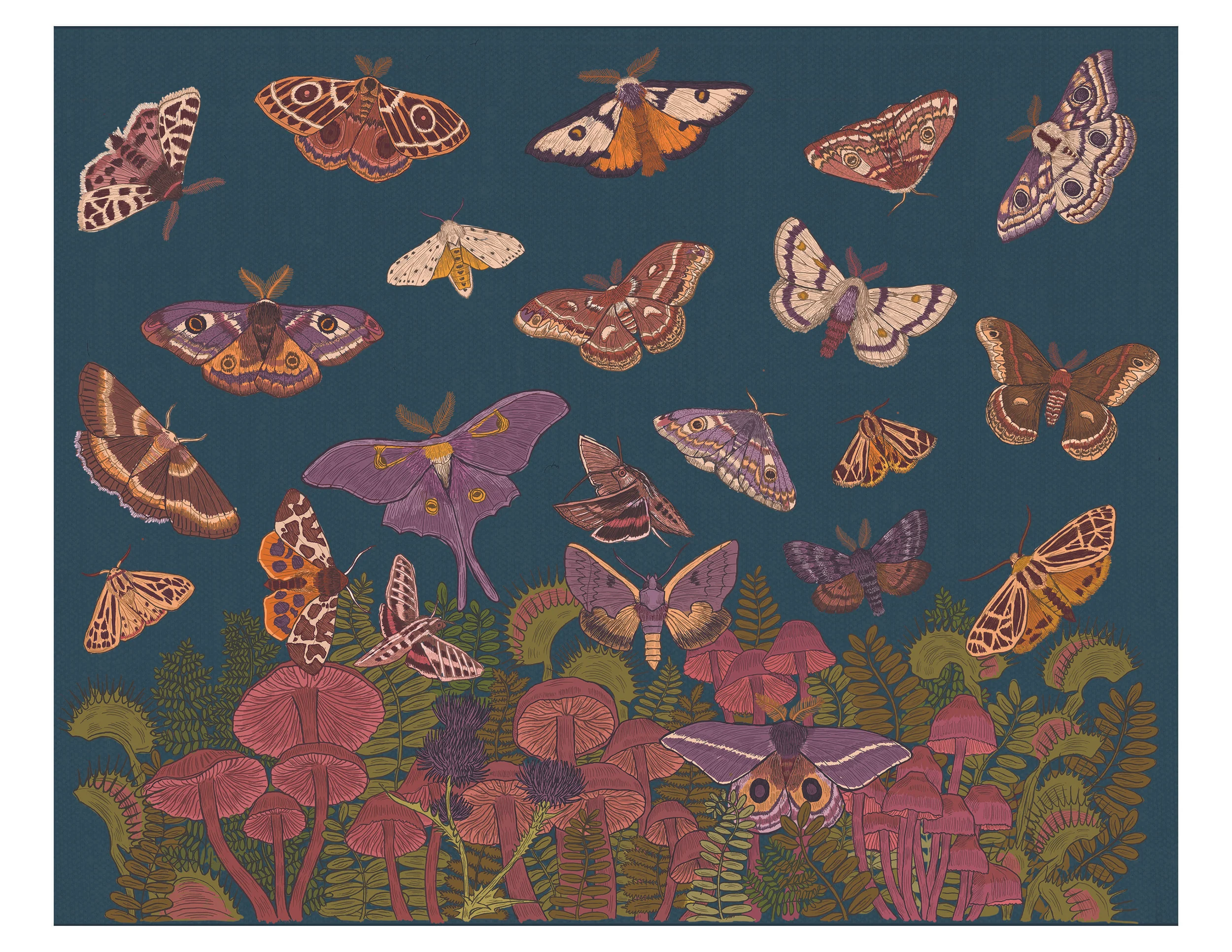 Moths 8x10 print.jpg