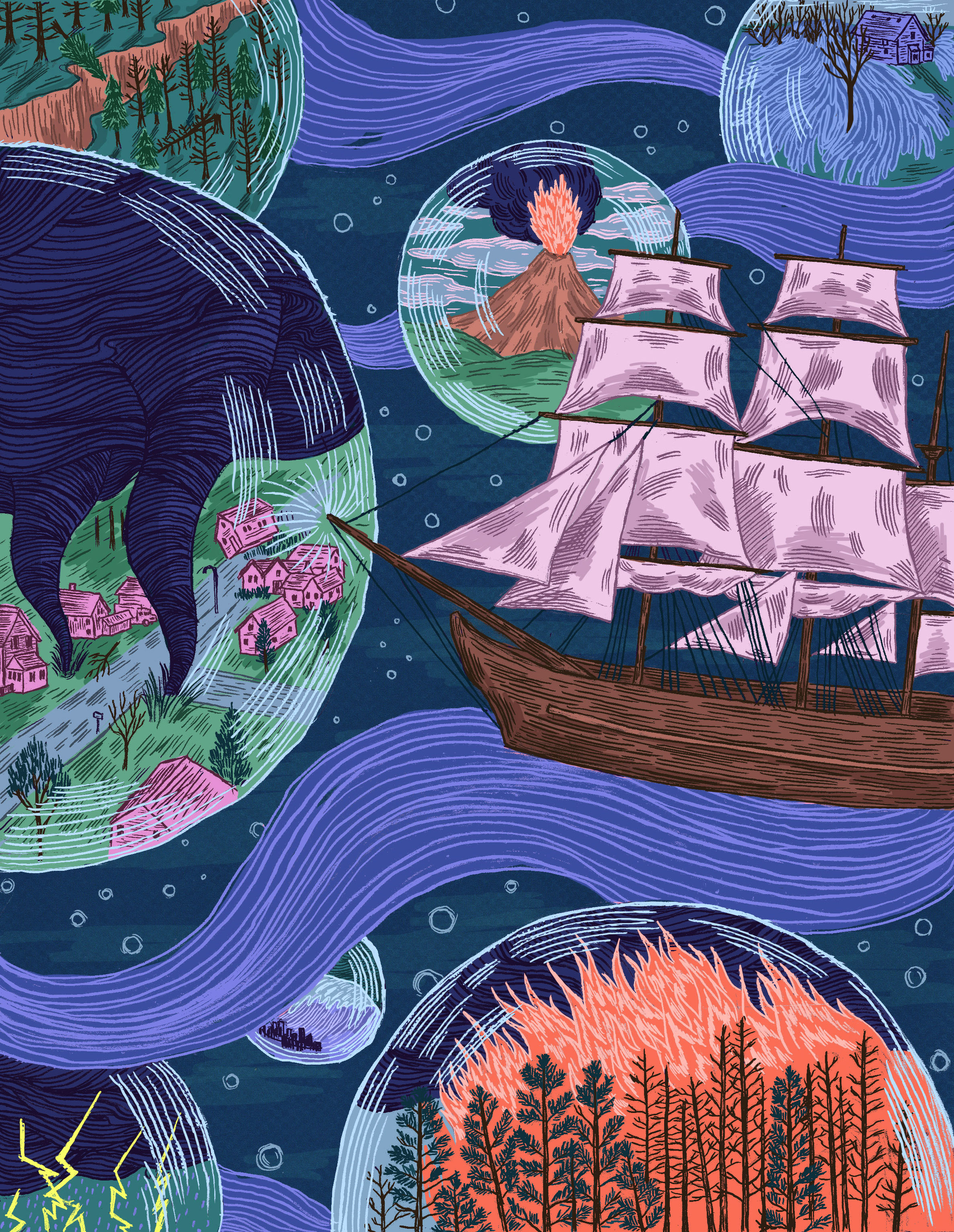 Risky Bubble, Planadviser 2014