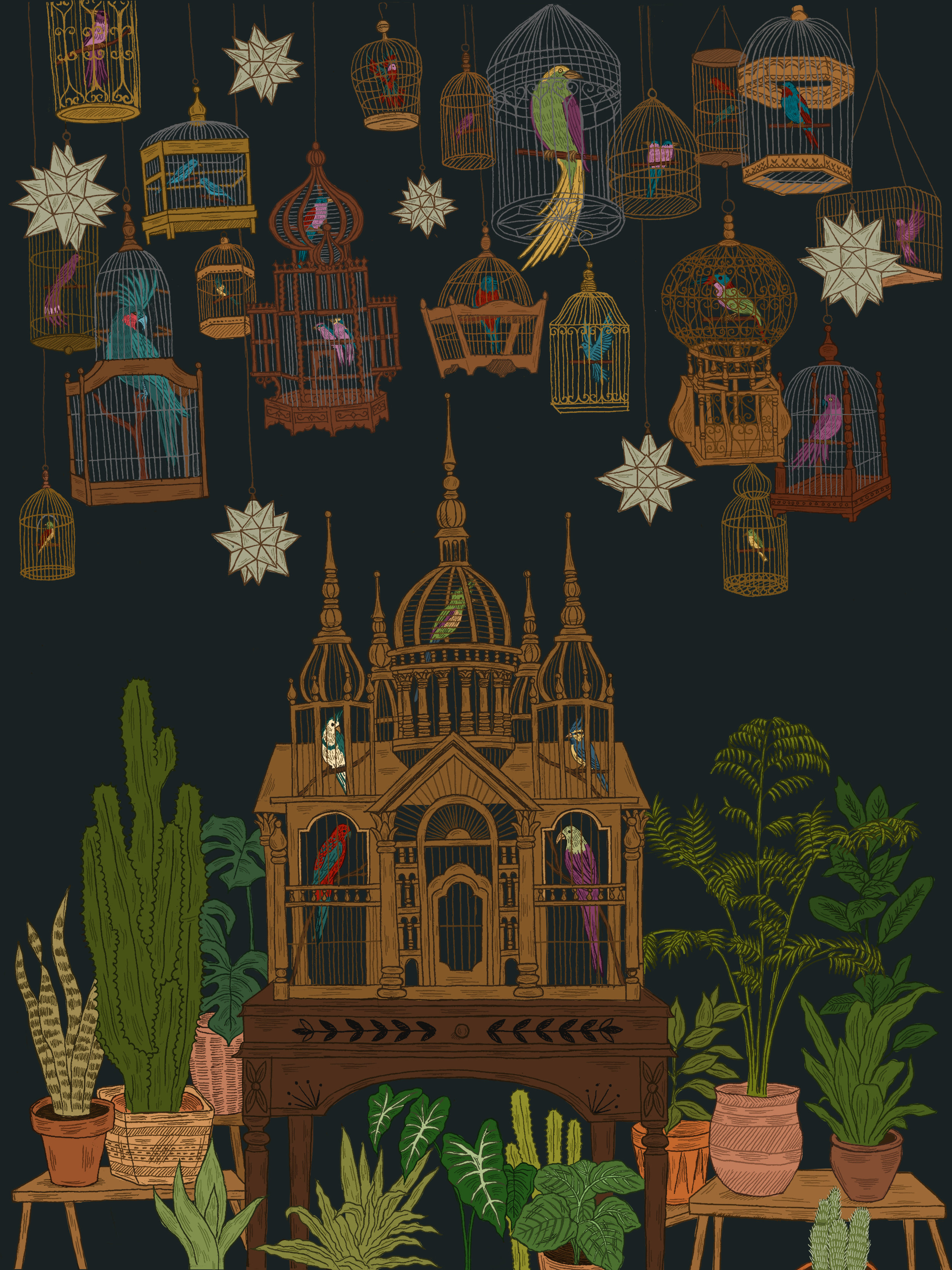 Big Bird in a Small Cage