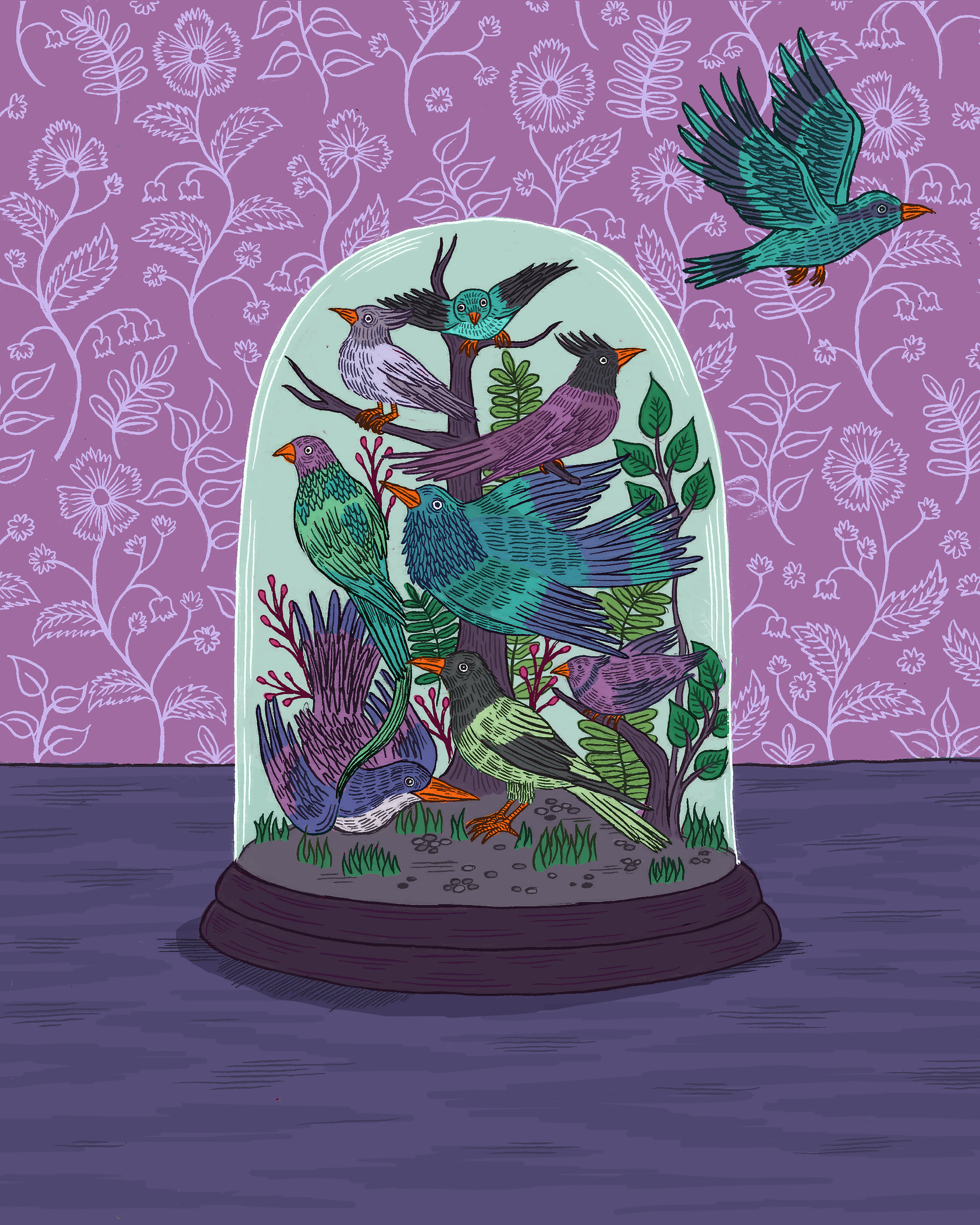Bird Terrarium