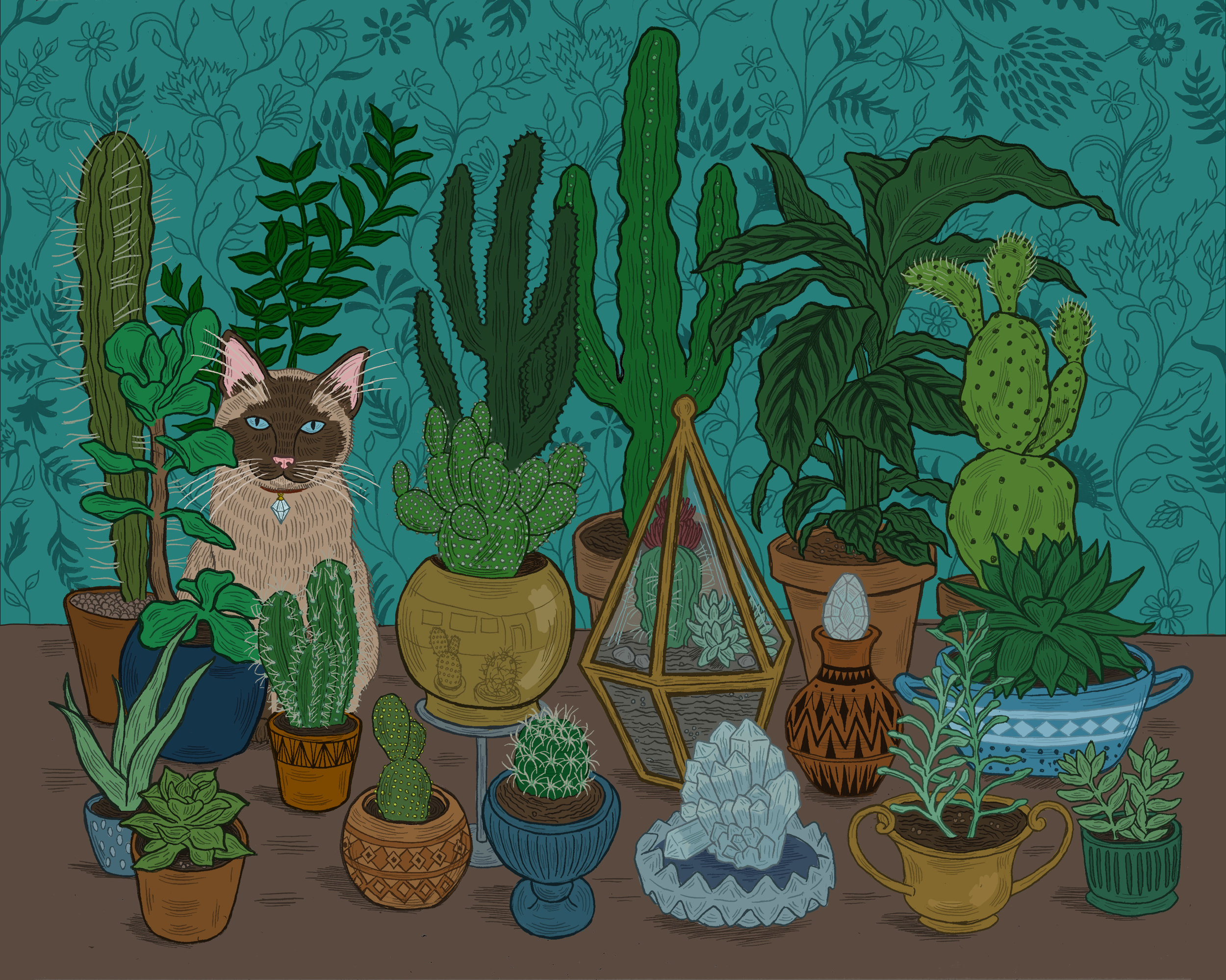 cacti.jpg