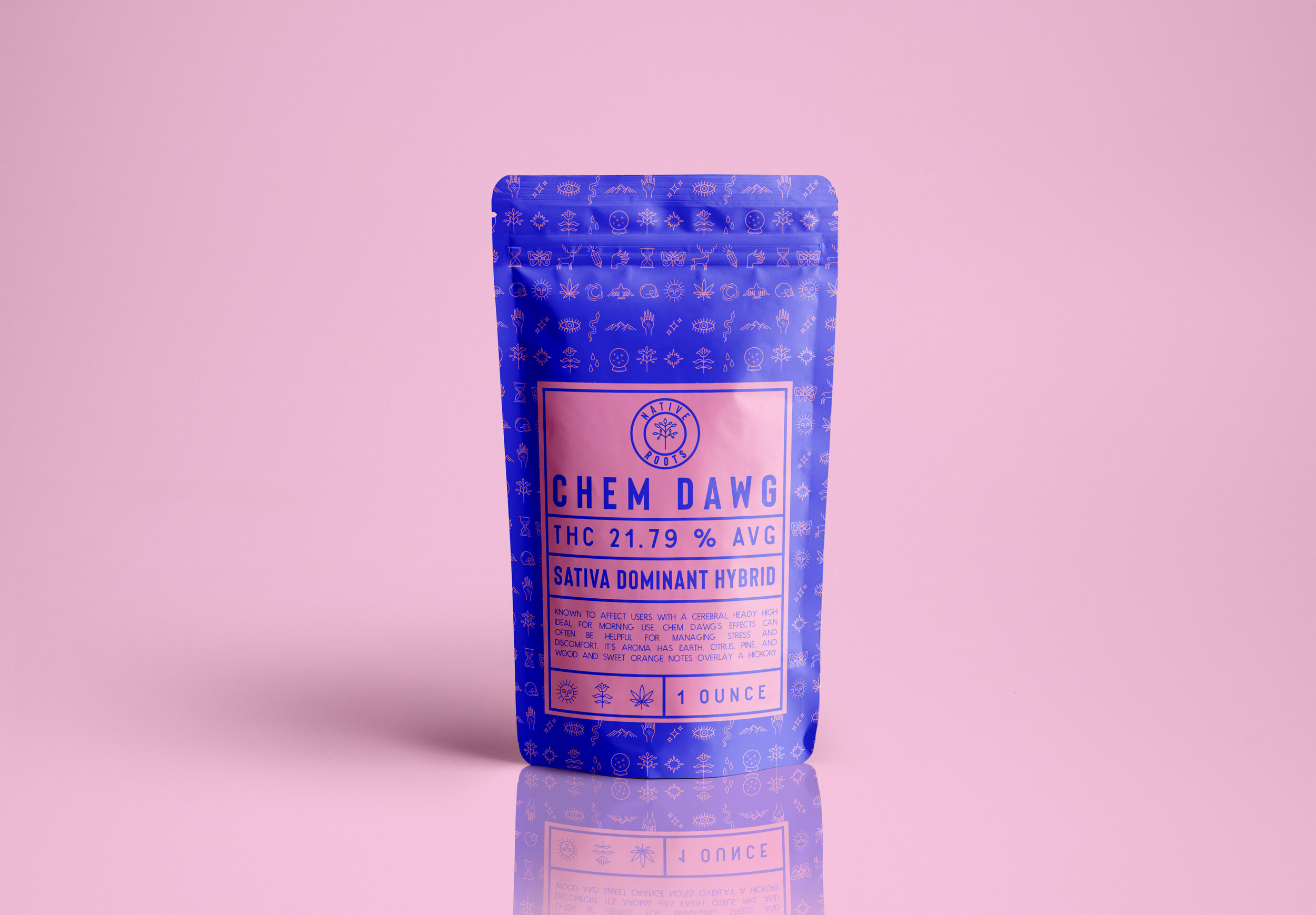 Plastic Pouch Packaging MockUp.jpg