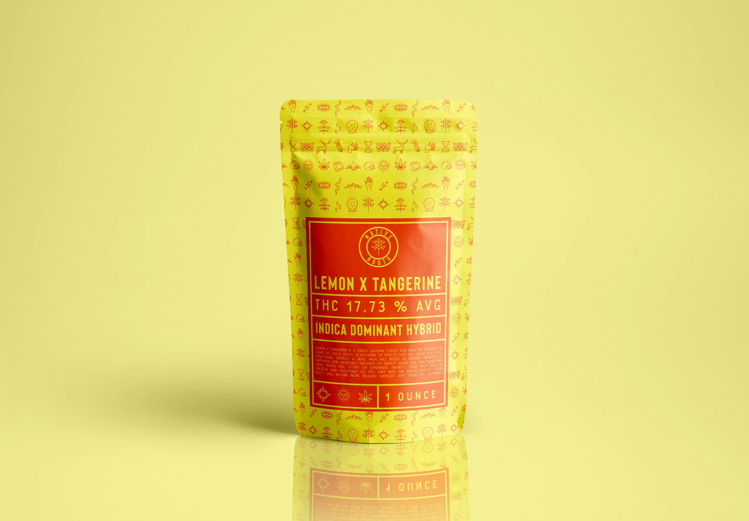 Plastic Pouch Packaging MockUp 3.jpg