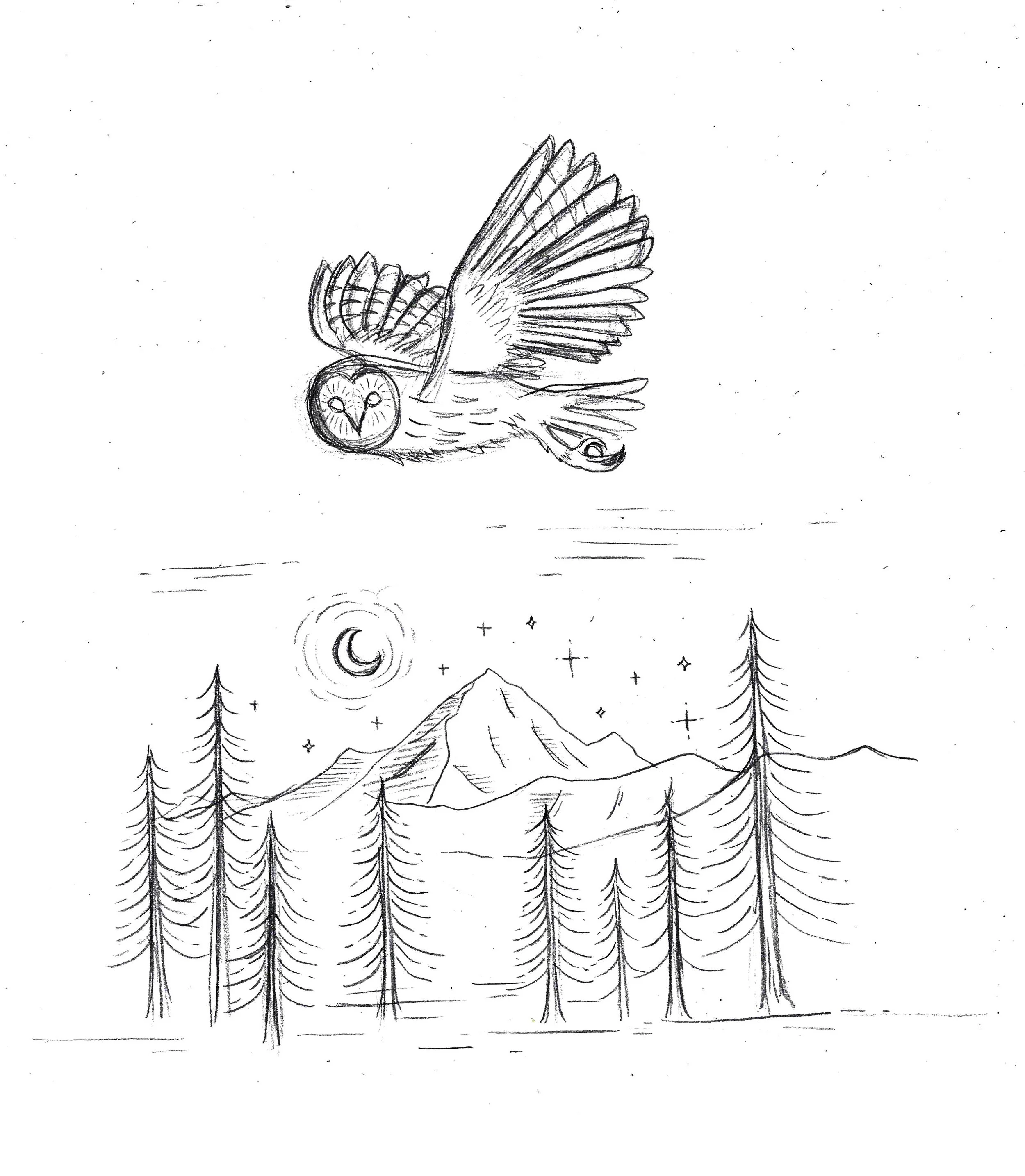 forest coffee sketches.jpg