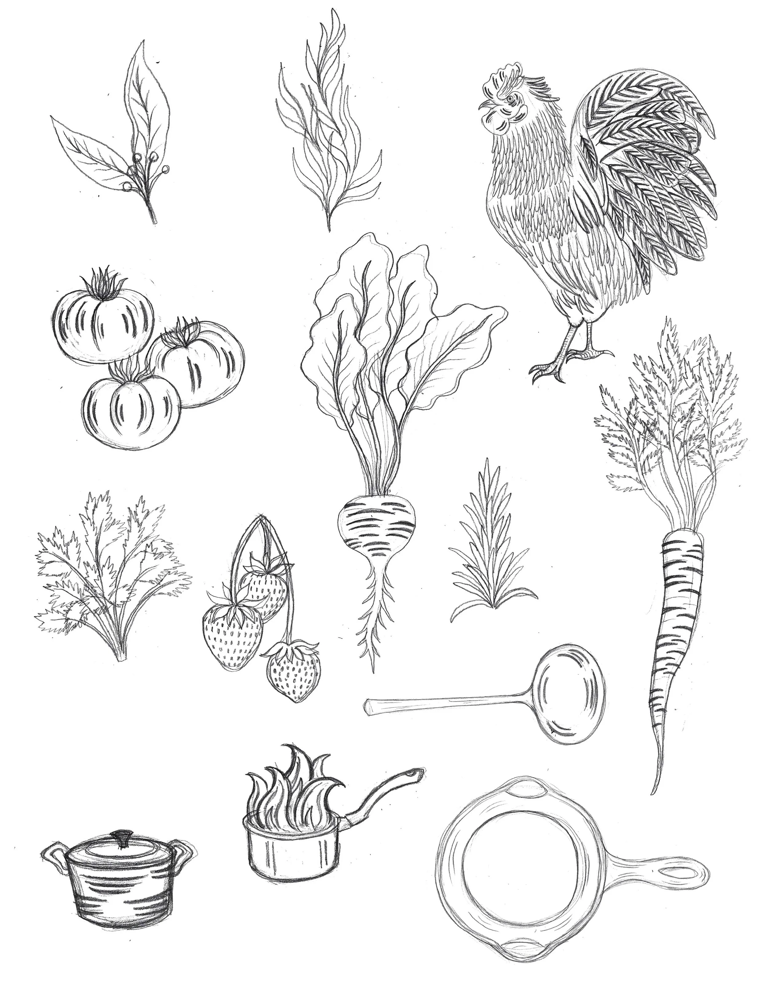 pot au feu sketches.jpg