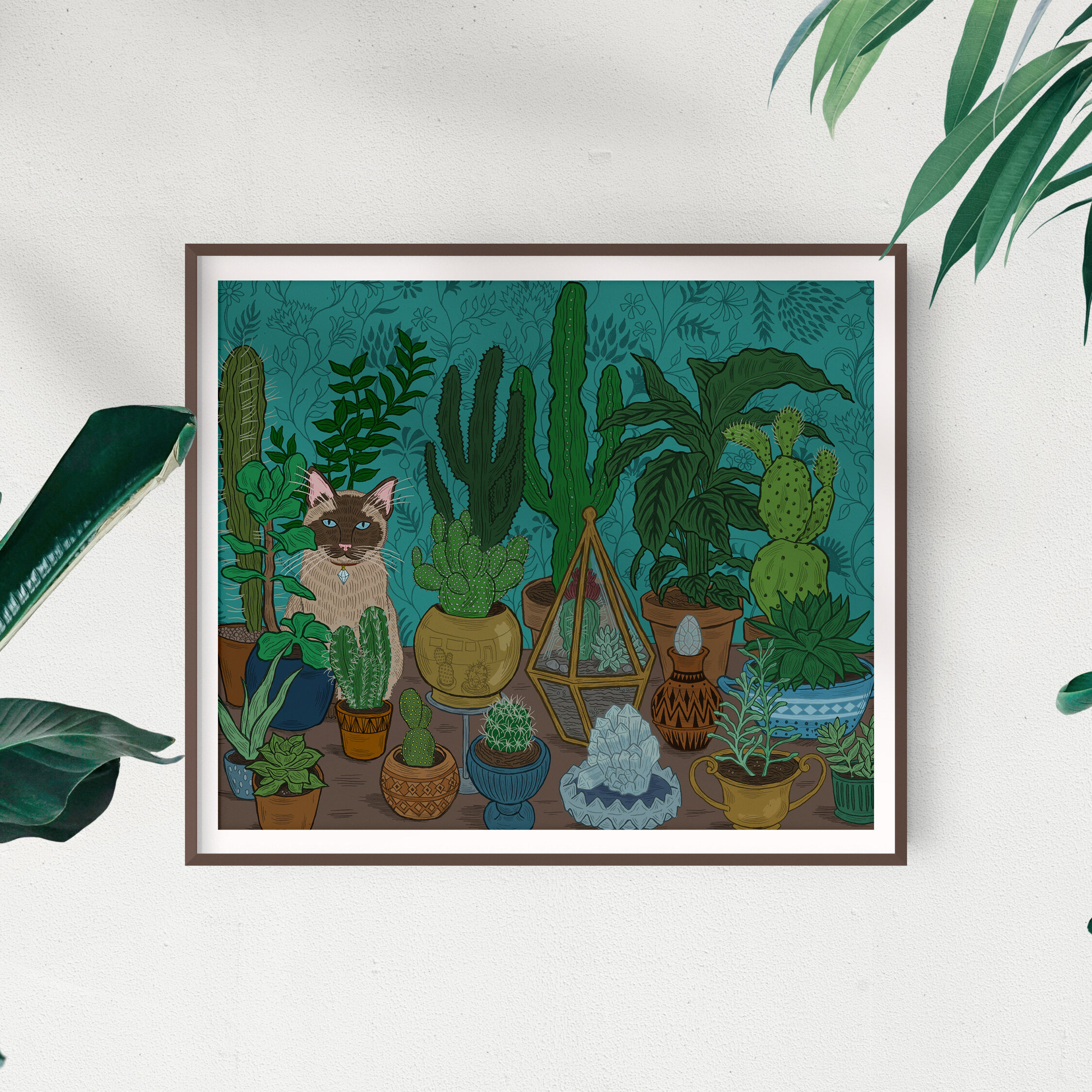 cacti cat in frame square.jpg