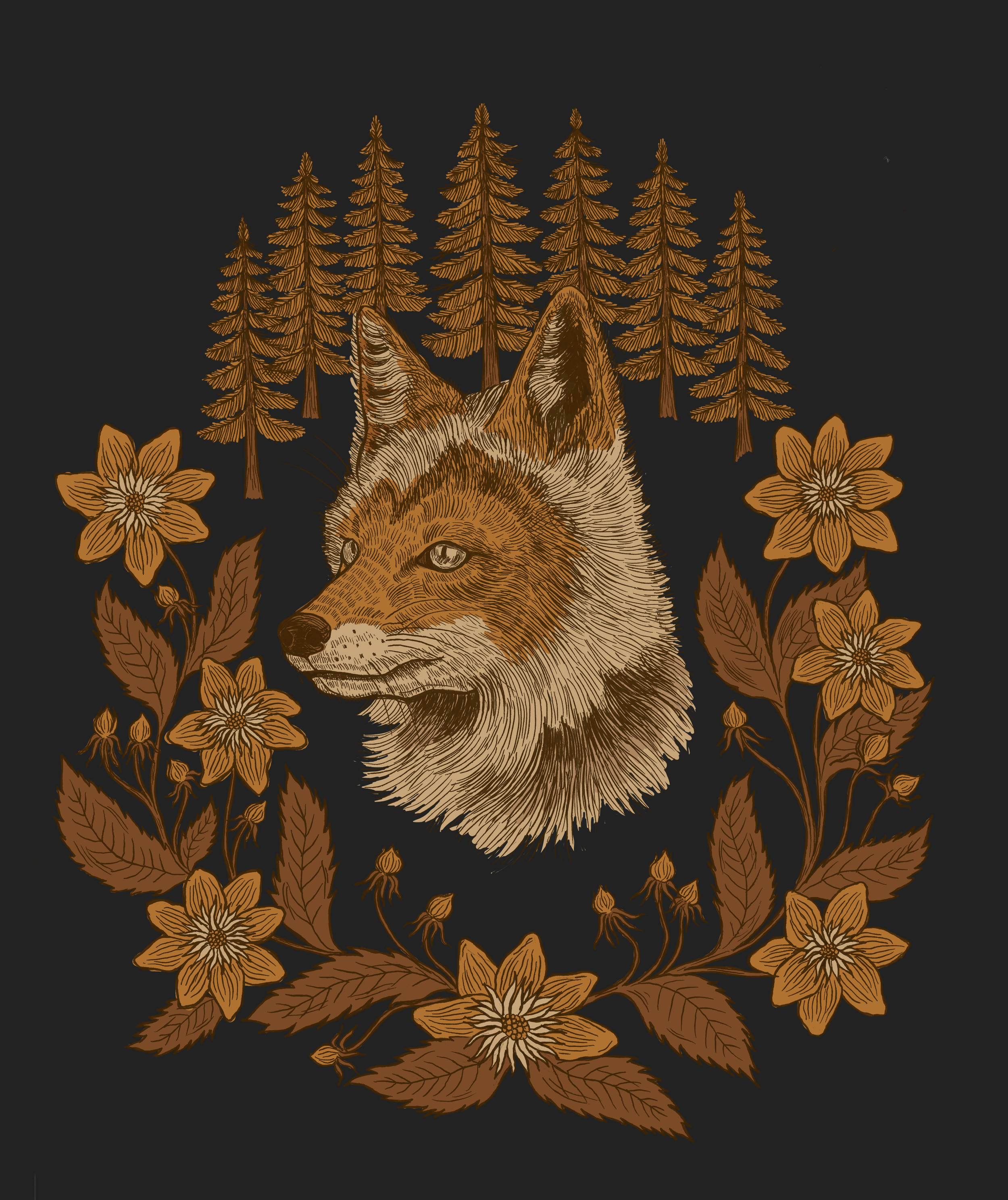 fox.png