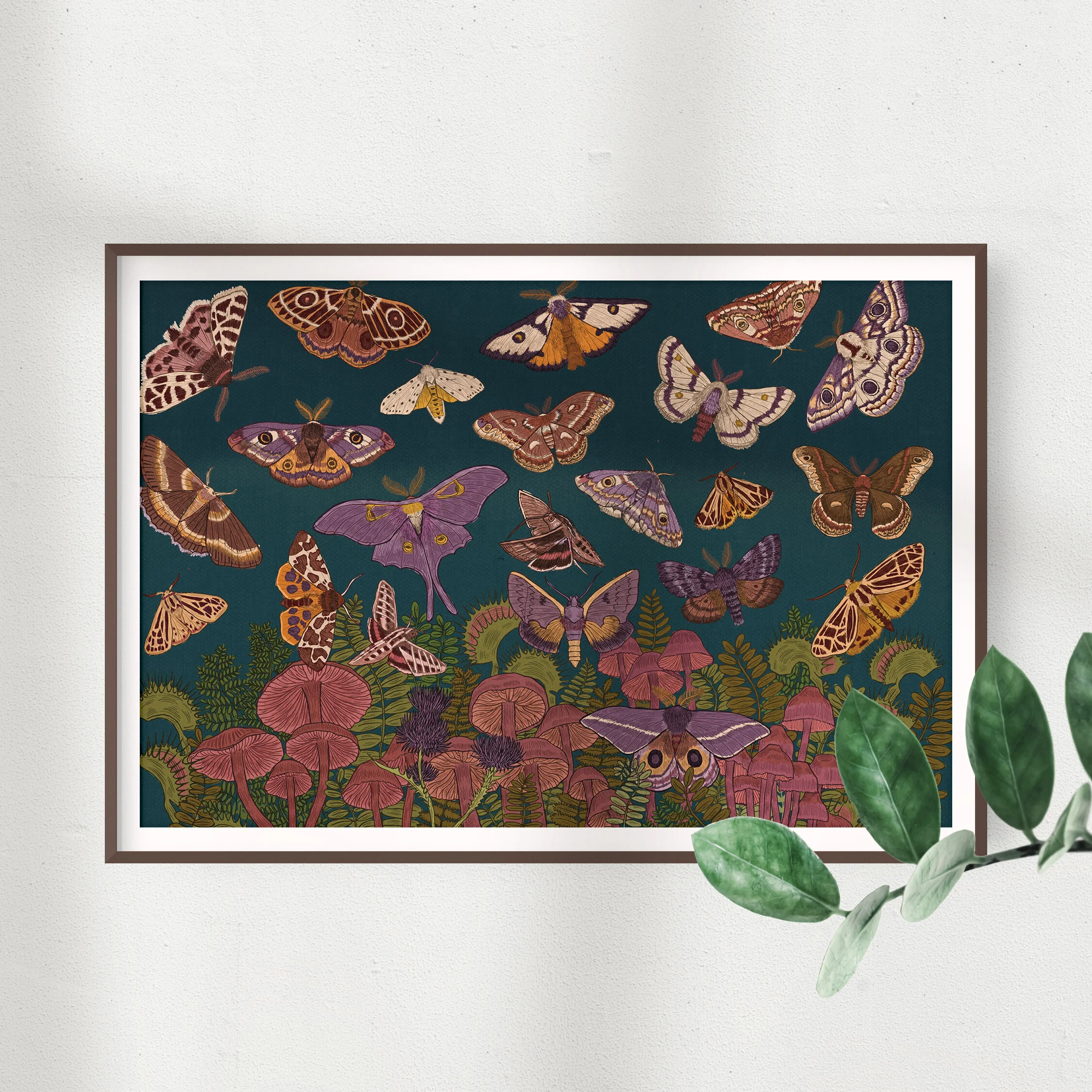 moths in frame square.jpg