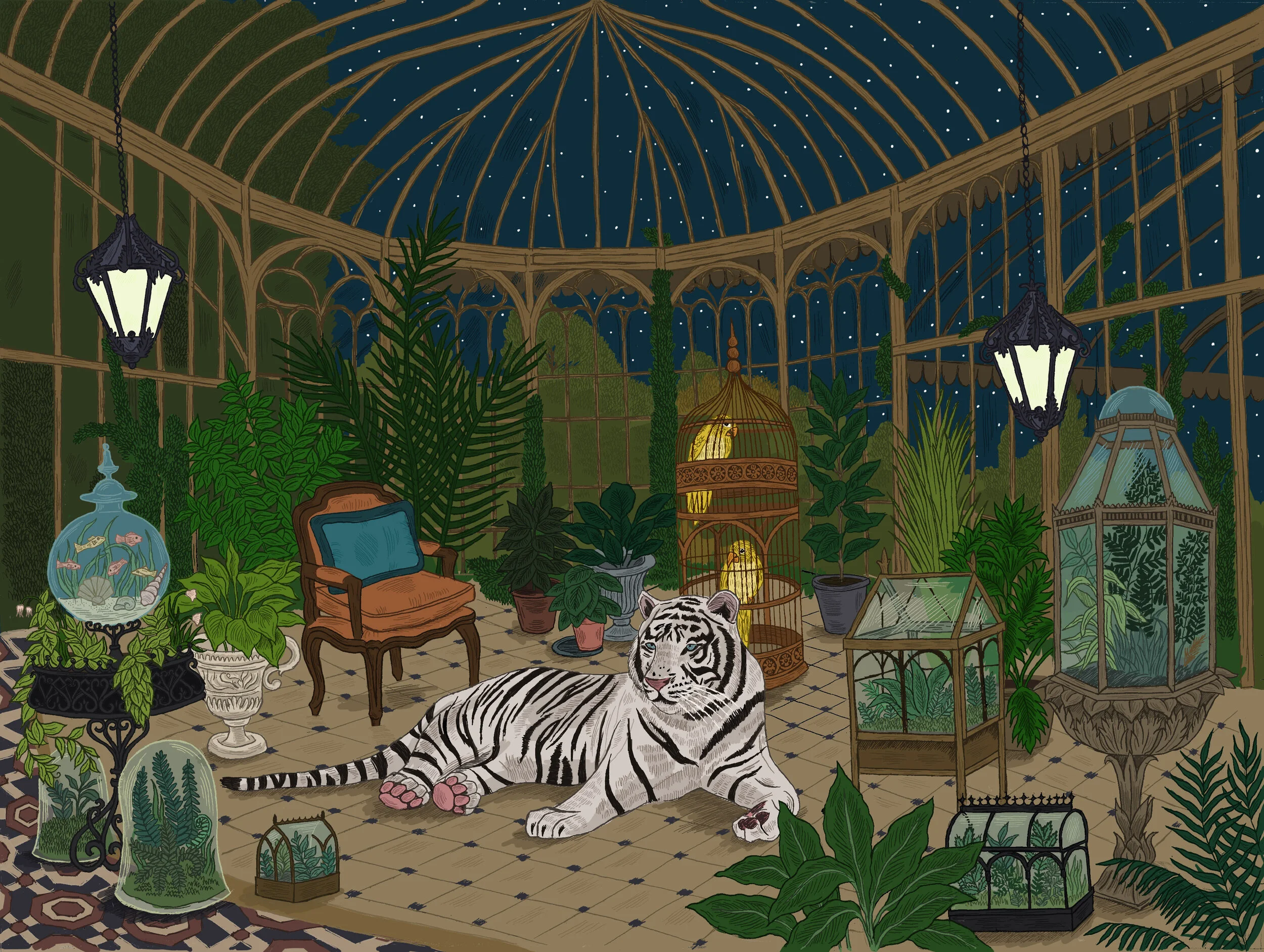 tiger.jpg