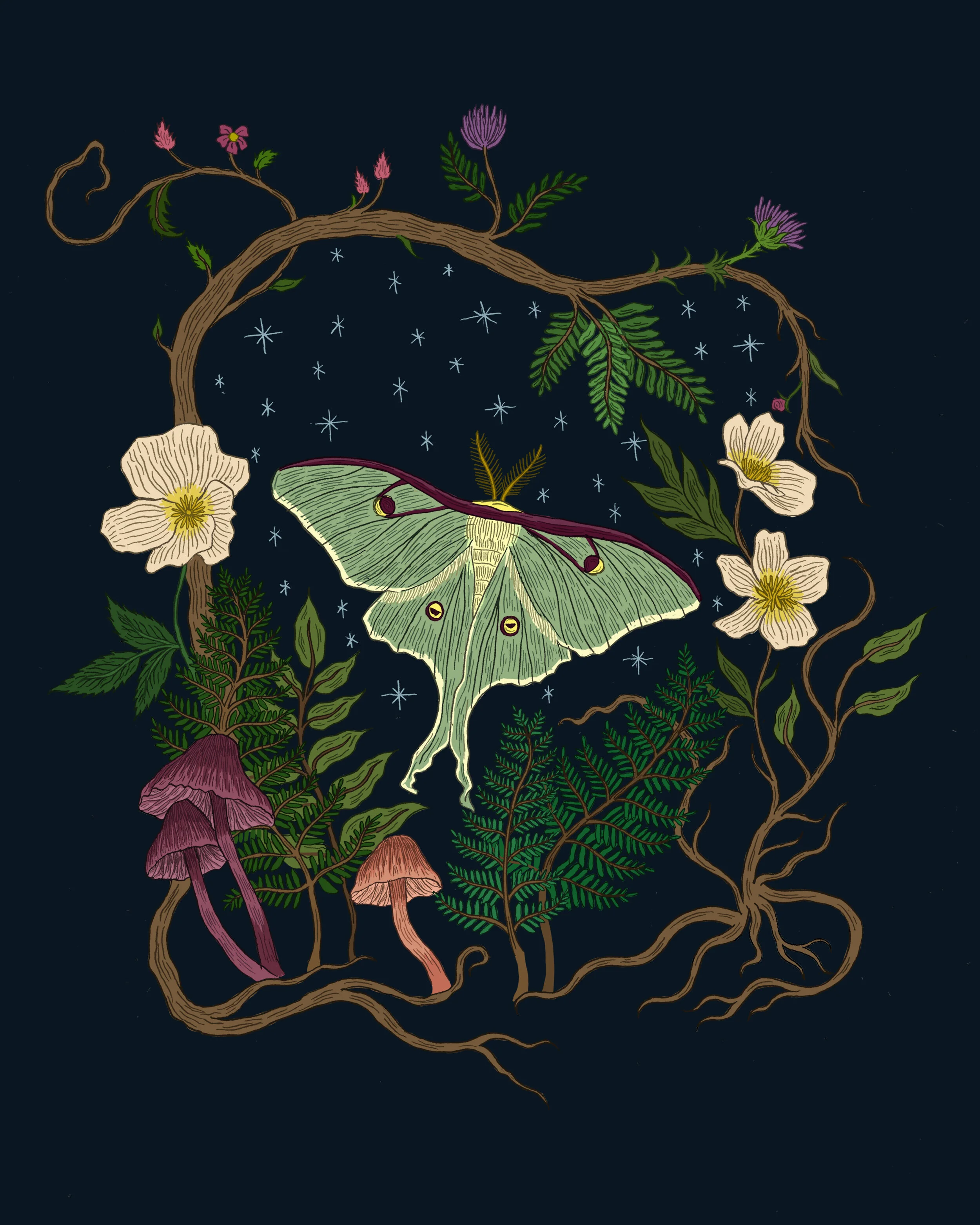 rjablonski art0001.jpg