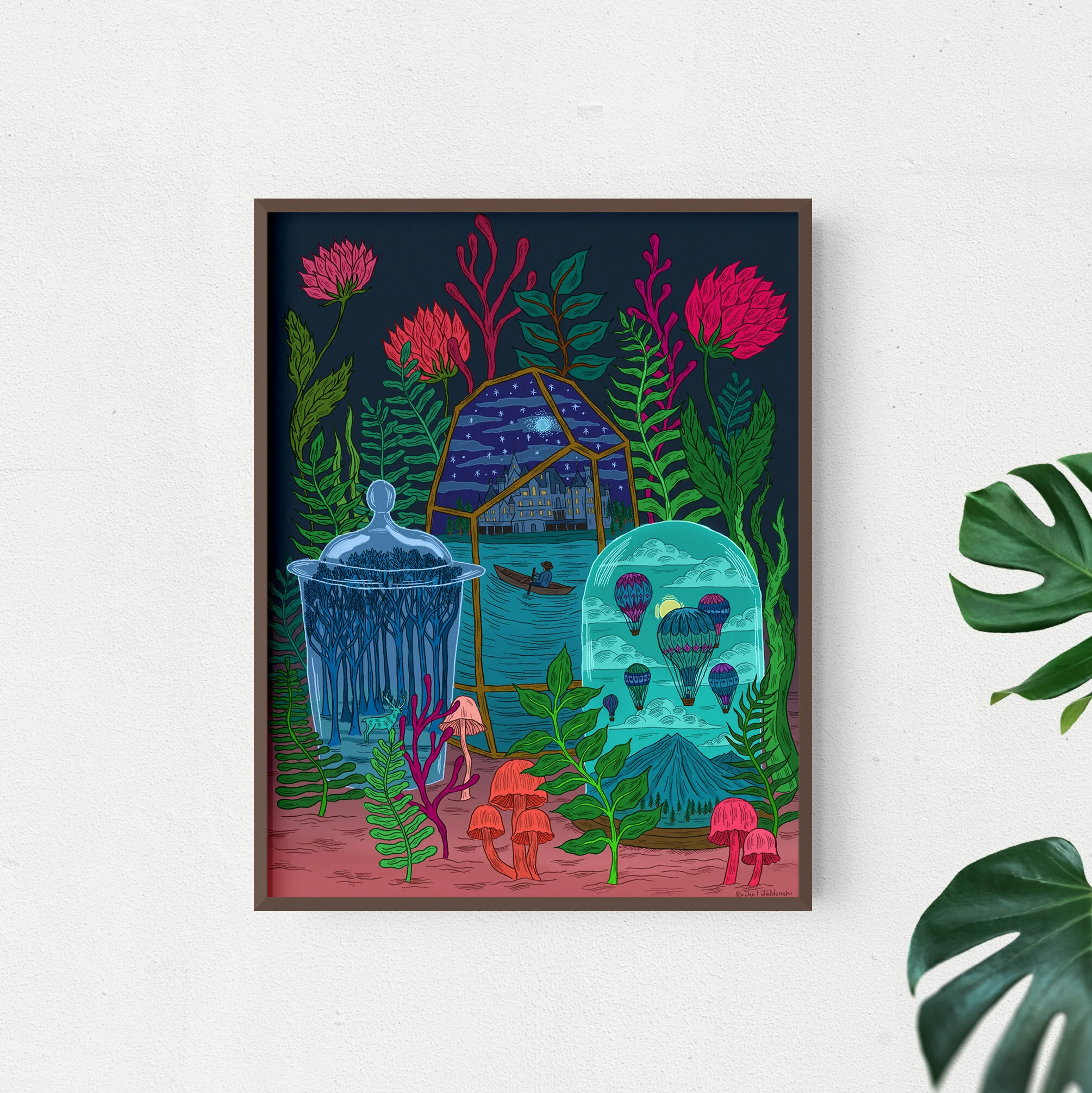 terrariums in frames.jpg