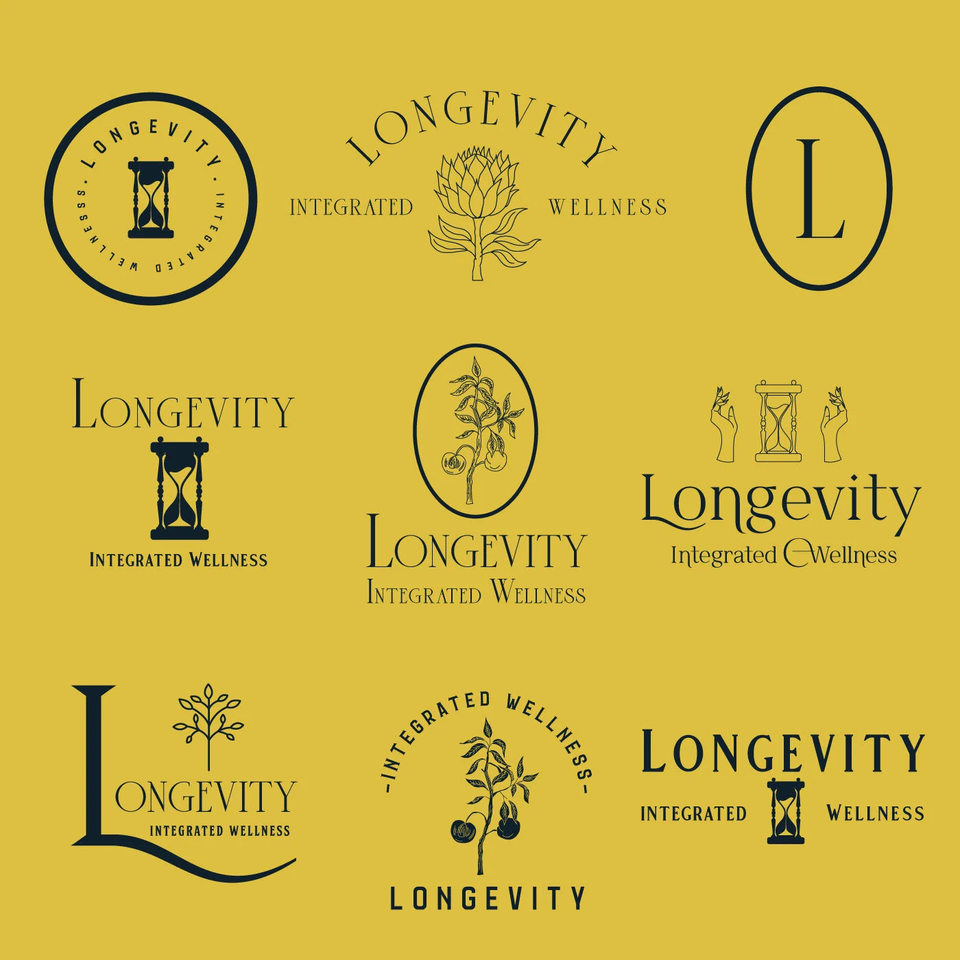 longevity-flash-sheet-for-insta.jpg