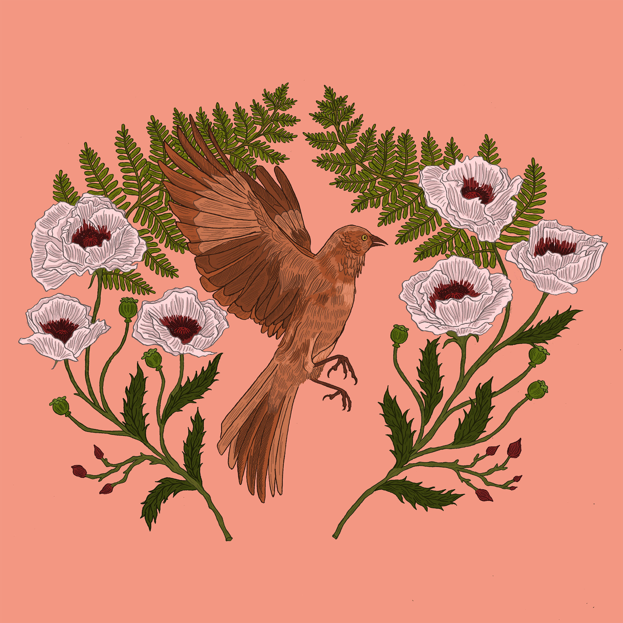birdy.jpg