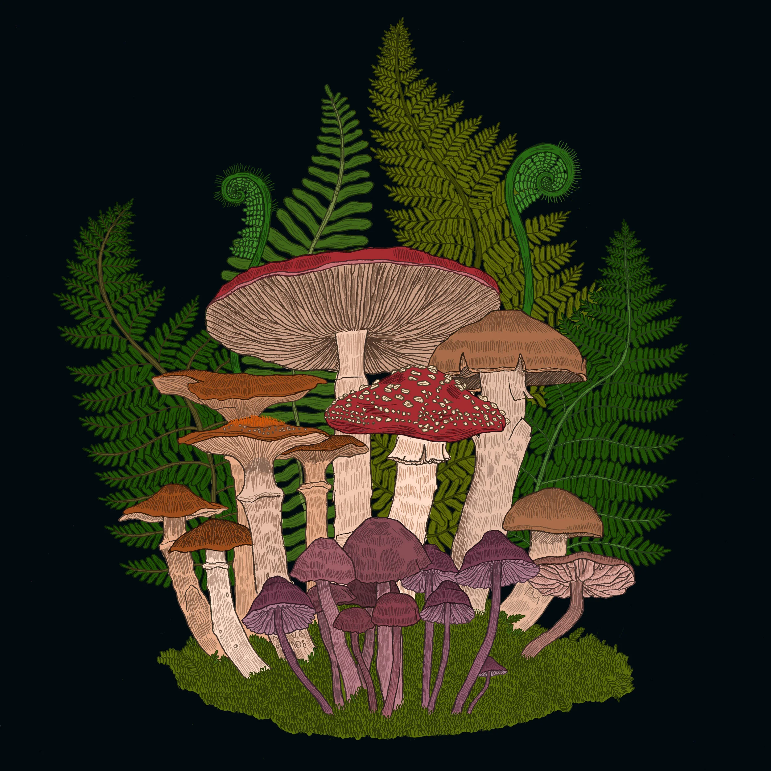 mushrooms square.jpg