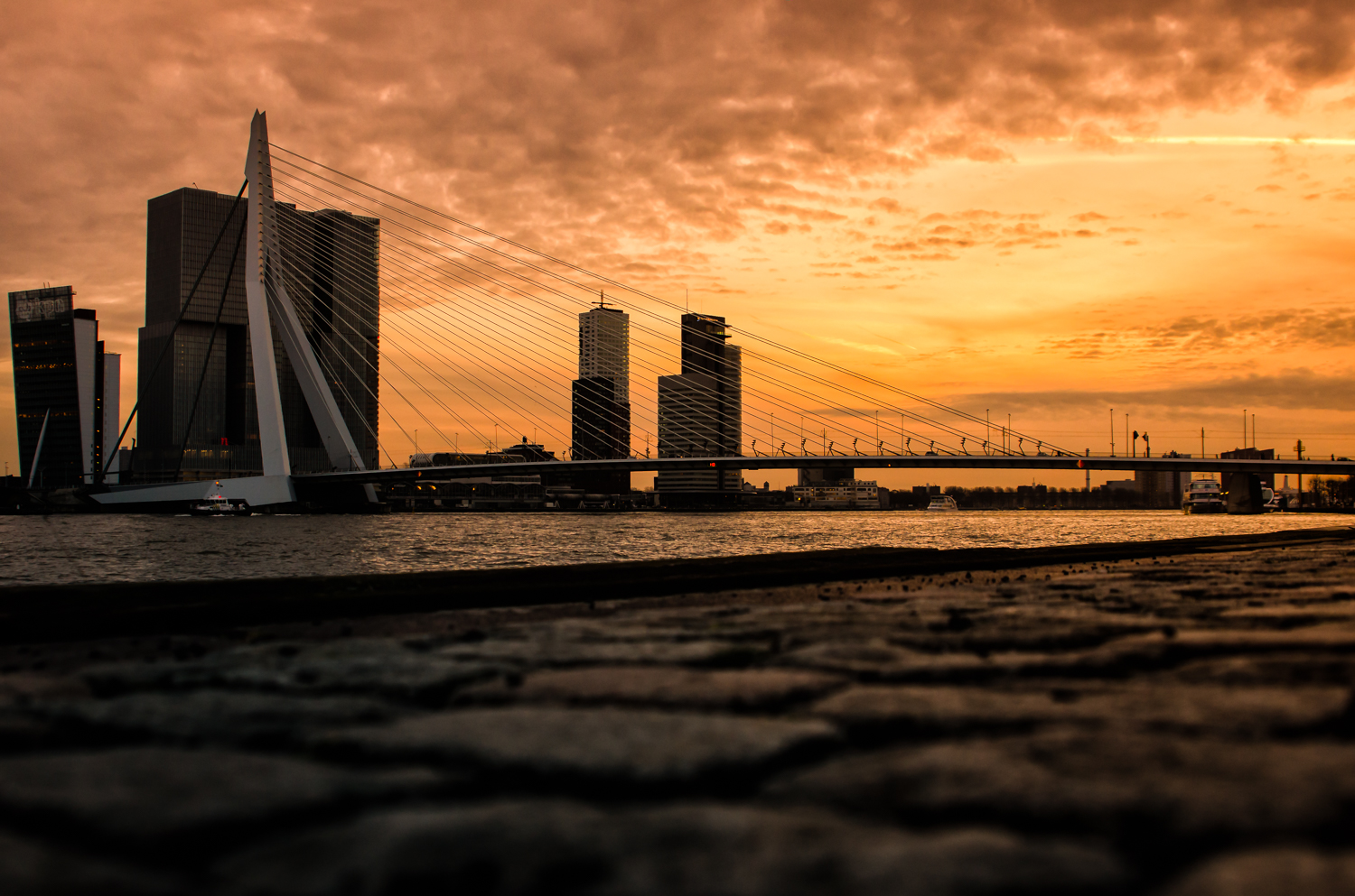 Erasmus bridge at Rotterdam. Exposure: 1/125 sec @ f/4,0 ISO 200, 24 mm