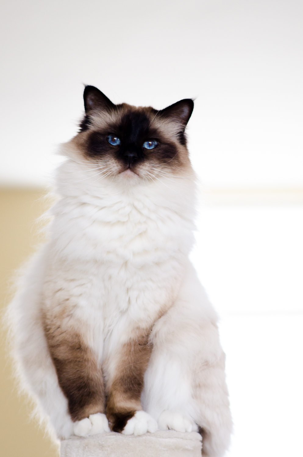 Enzo. Exposure: 1/125 sec @ f3,2 ISO 250, 85 mm