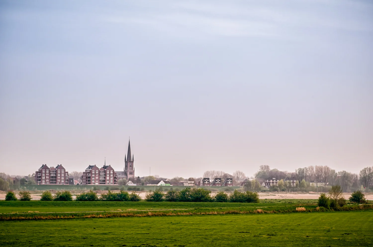 Vergeelde vrijdag nr. 50