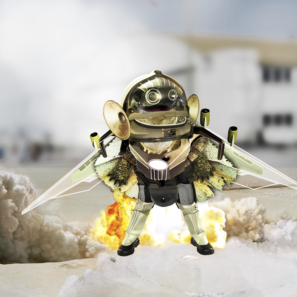 blast off turtle