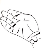 1303411-1141171-thumbnail.jpg