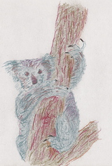 1303411-1575729-thumbnail.jpg