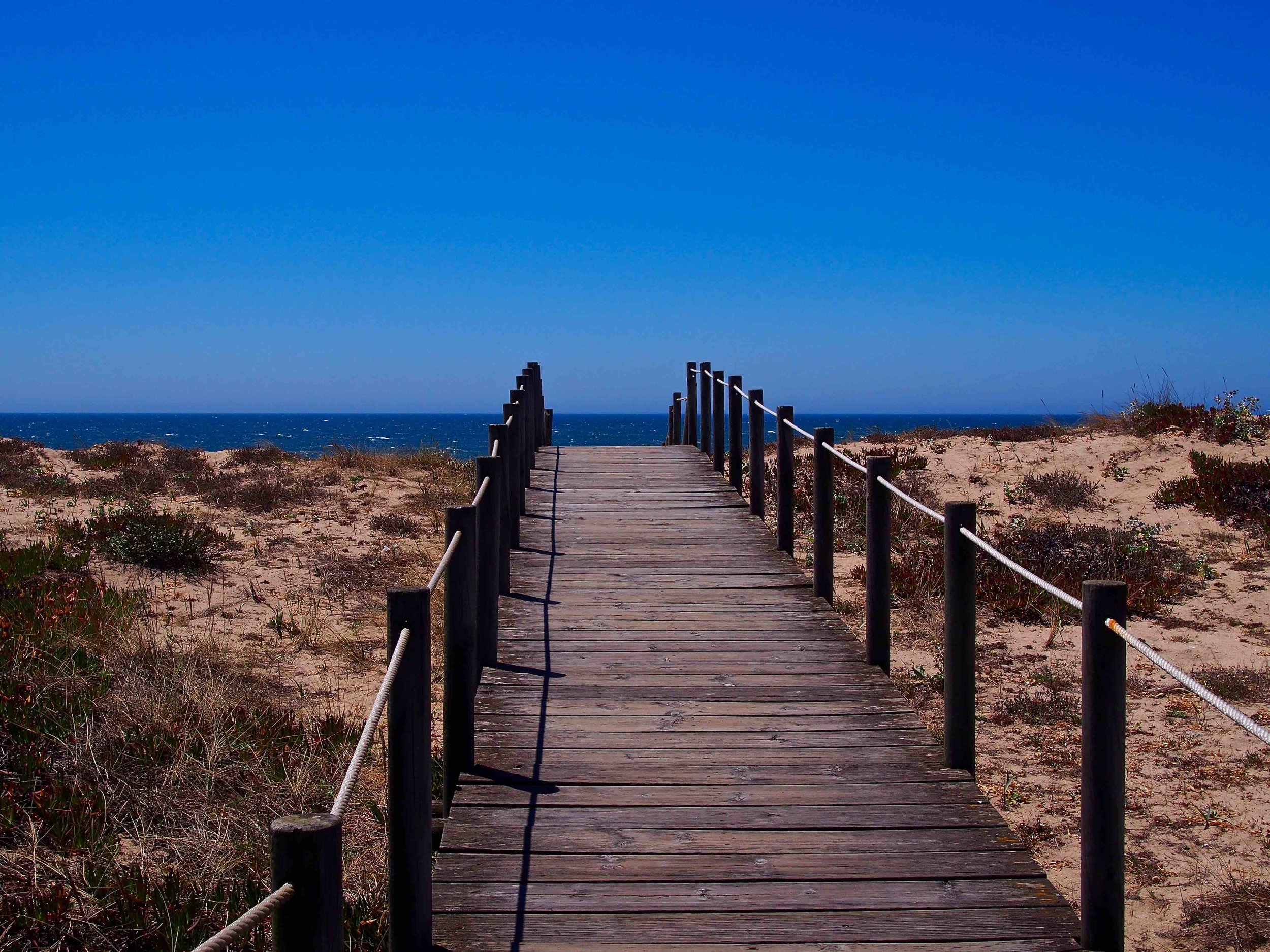 to the sea.jpg