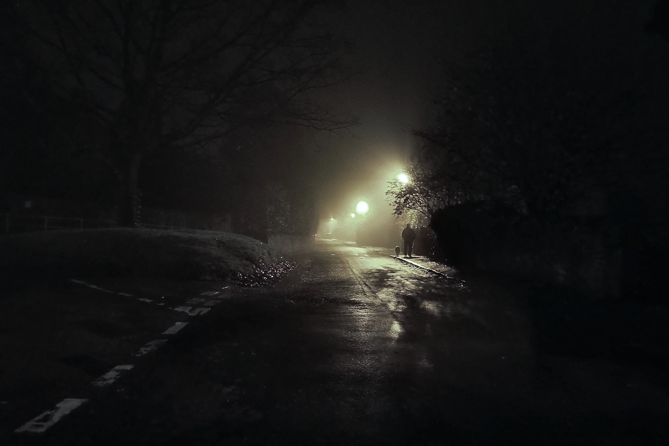 night.jpg
