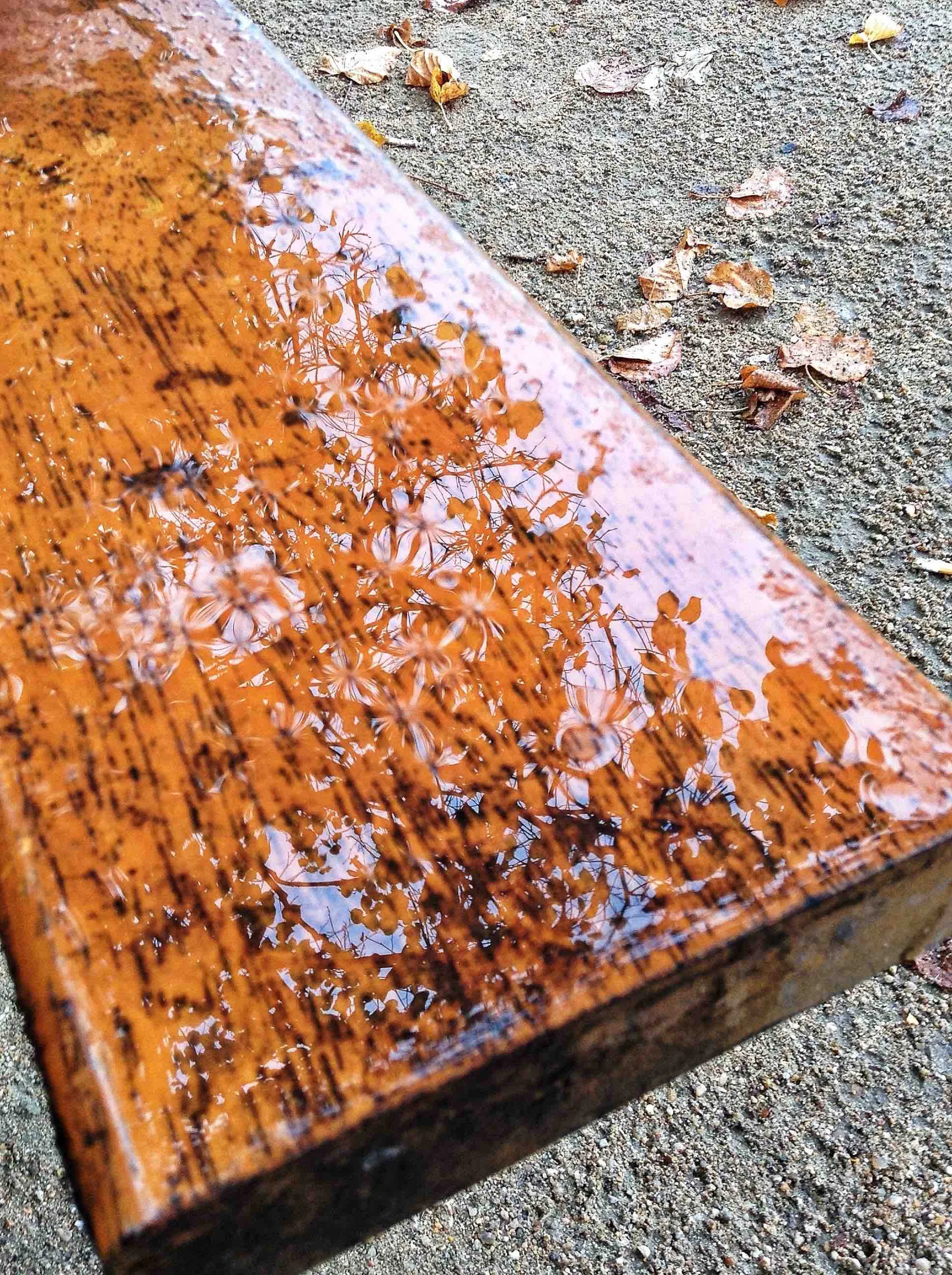 wet bench.jpg
