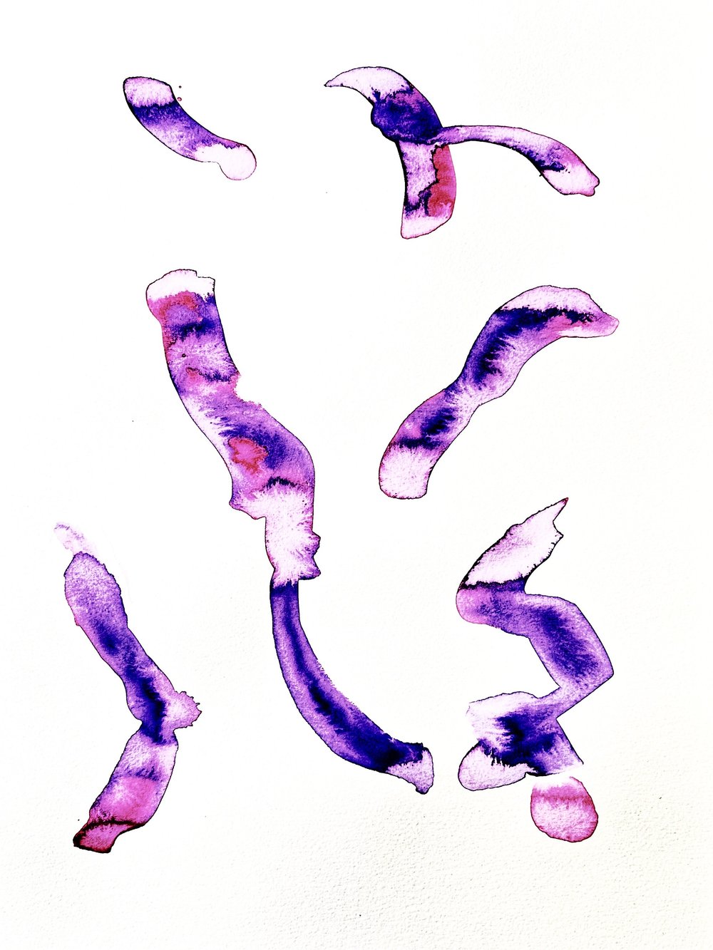 JPEG image-4916-A3E2-CC-0.jpeg