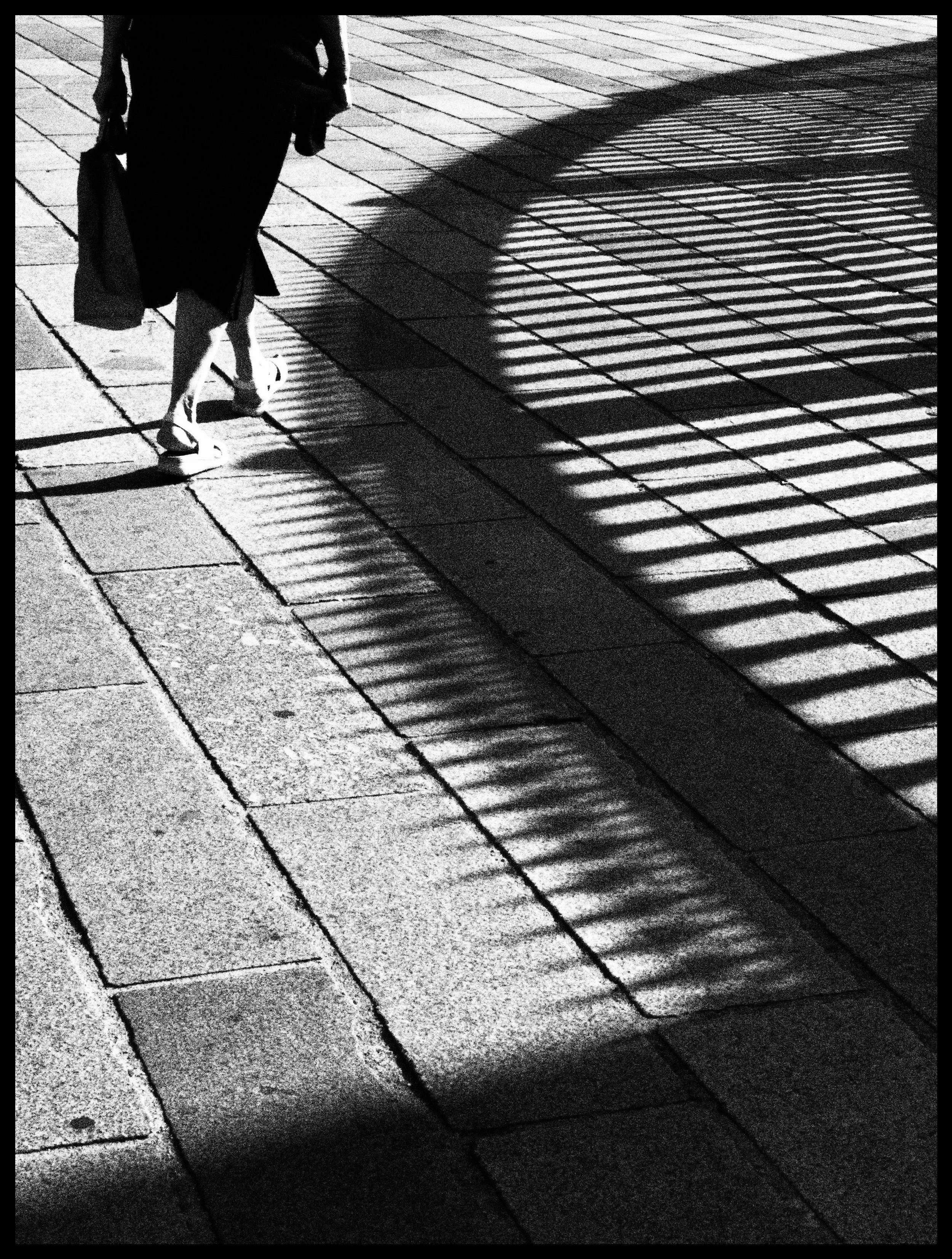 The Architecture of Perception