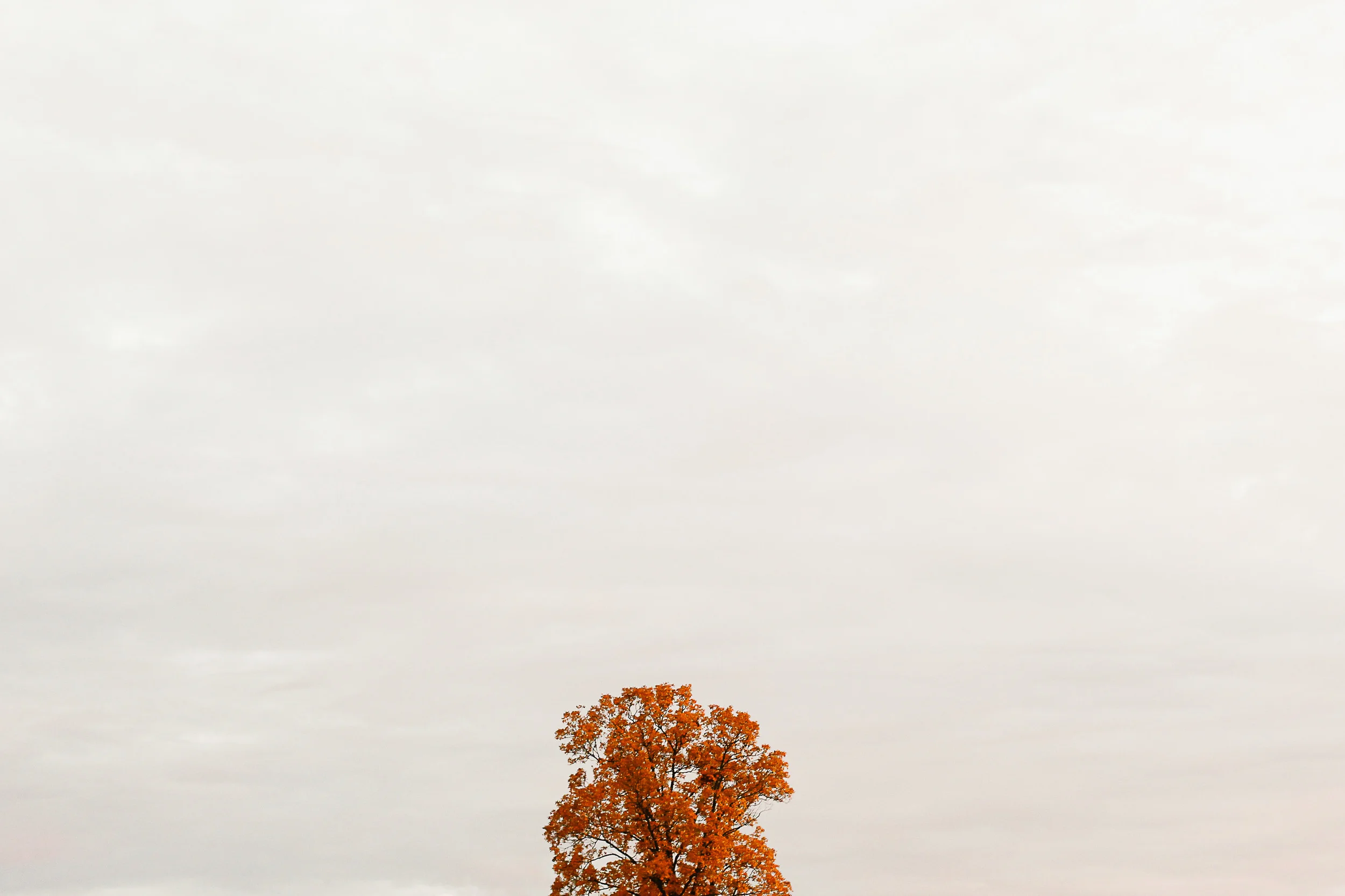 fall-1.jpg