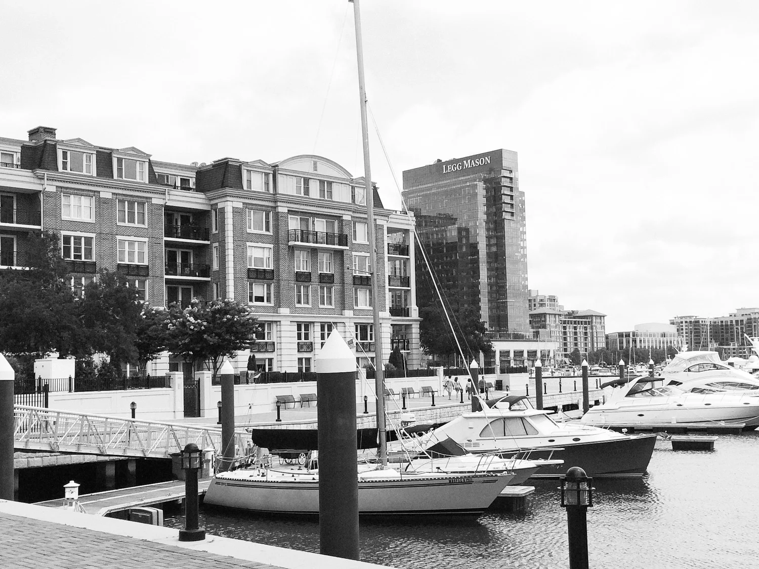 marylandbw-9.jpg
