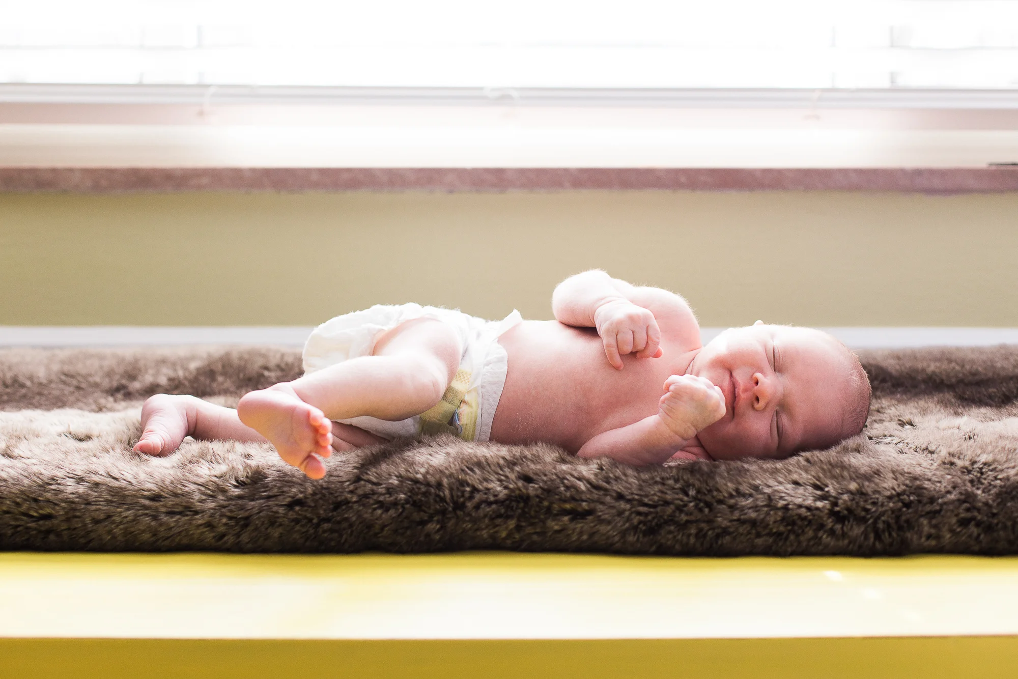 pittsburgh-newborn-photographer.jpg
