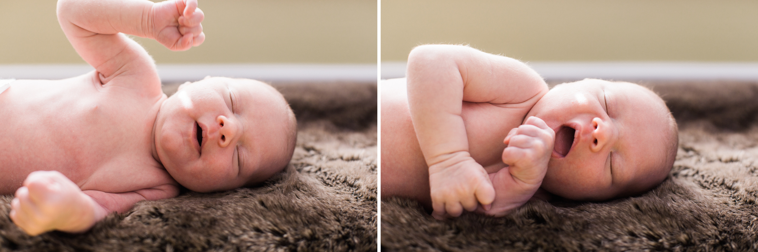 pittsburgh-newborn-photographer.jpg