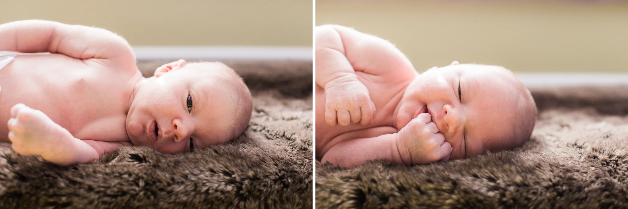 pittsburgh-newborn-photographer.jpg