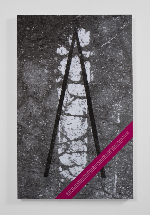 Pollen , (2016)