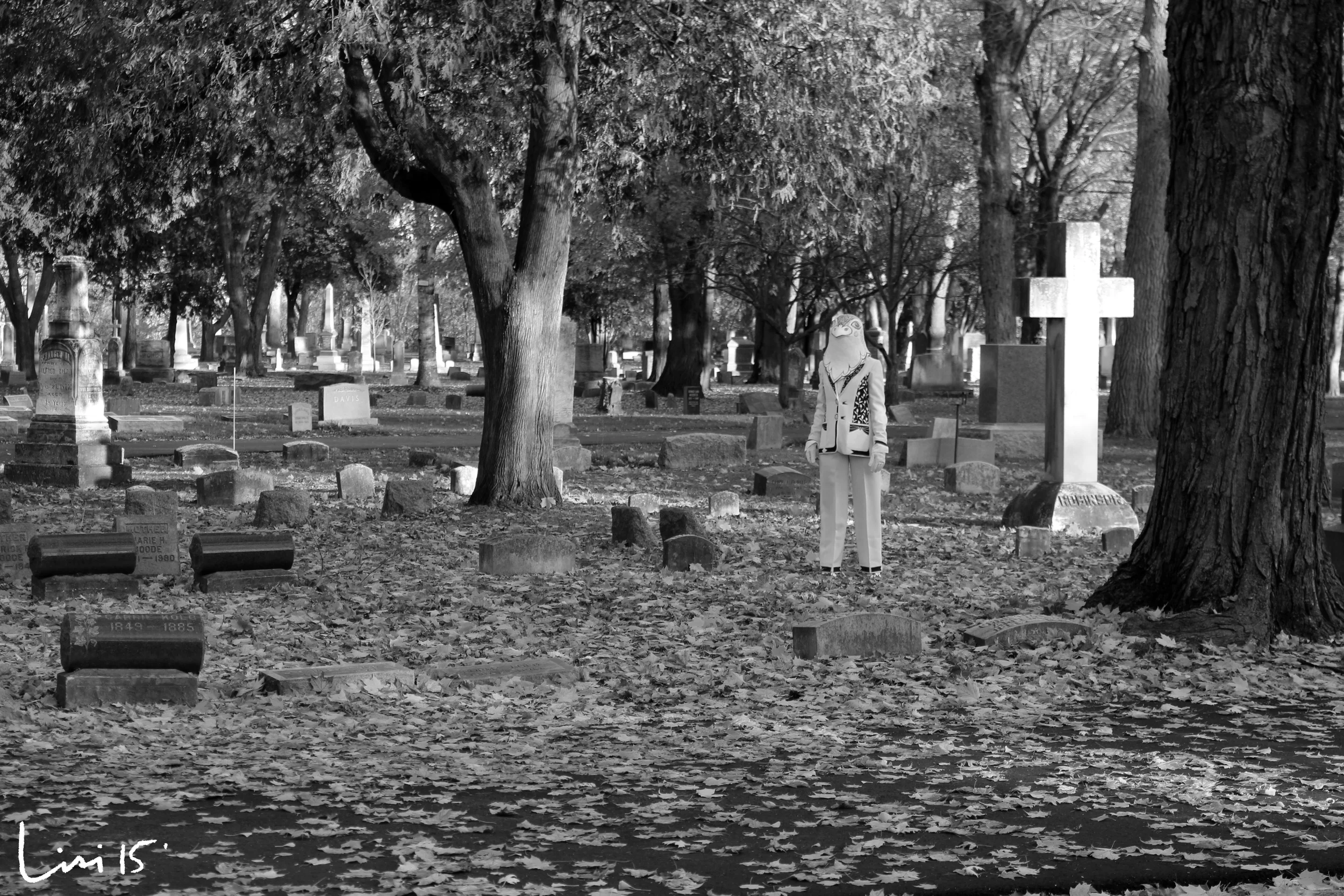 Transfigure; Honoring the Day of the Dead