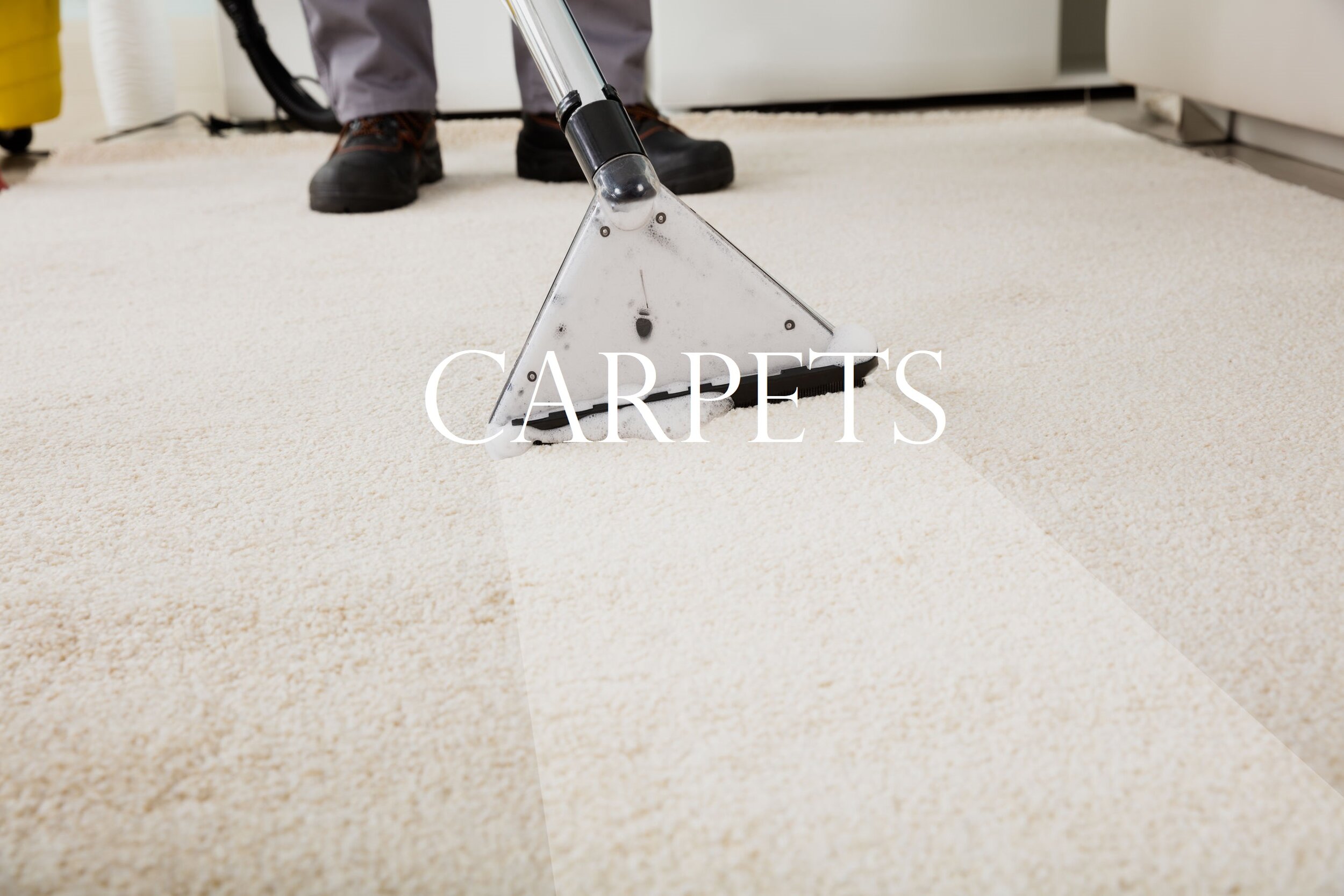 Carpet cleaning transperent wand Copy.jpg