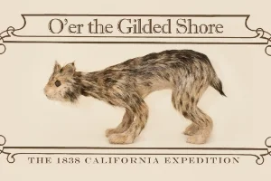 O'er the Gilded Shore - The 1838 expedition