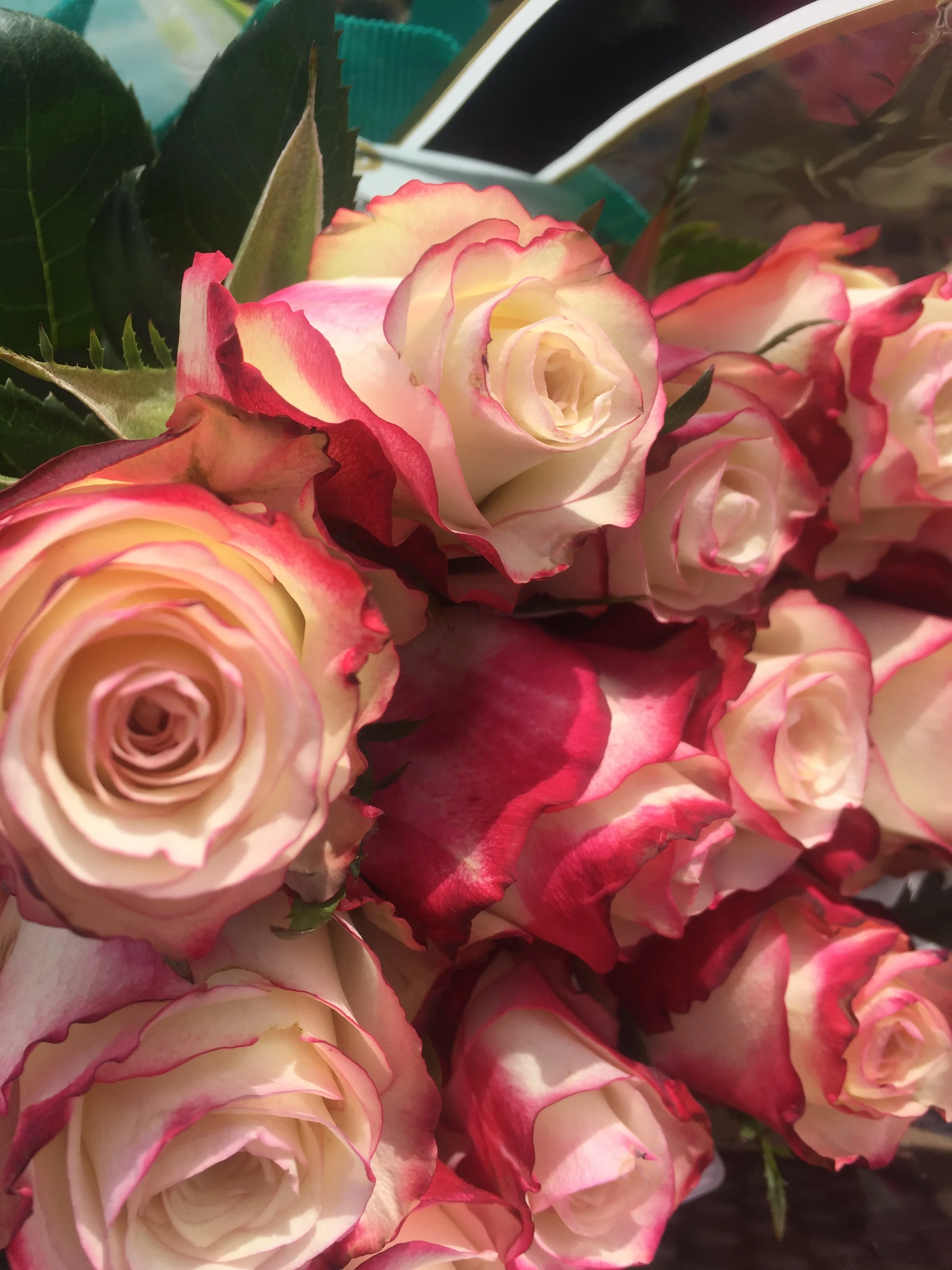 Rose fabric.jpg