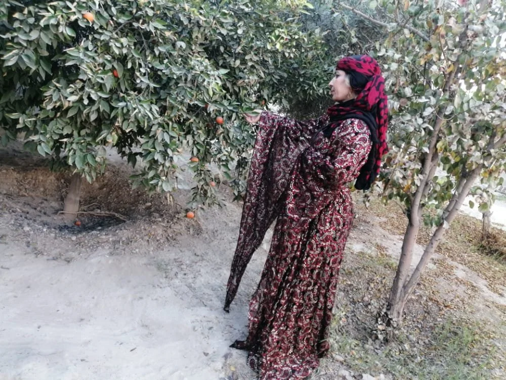 Syria Traditional  Dress Costume Kurdish  Dresses