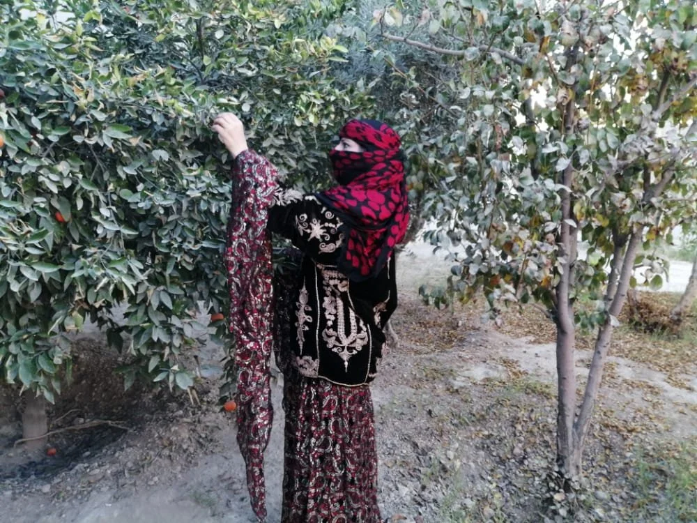 Syria Raqaa and Deir al Zour Dress