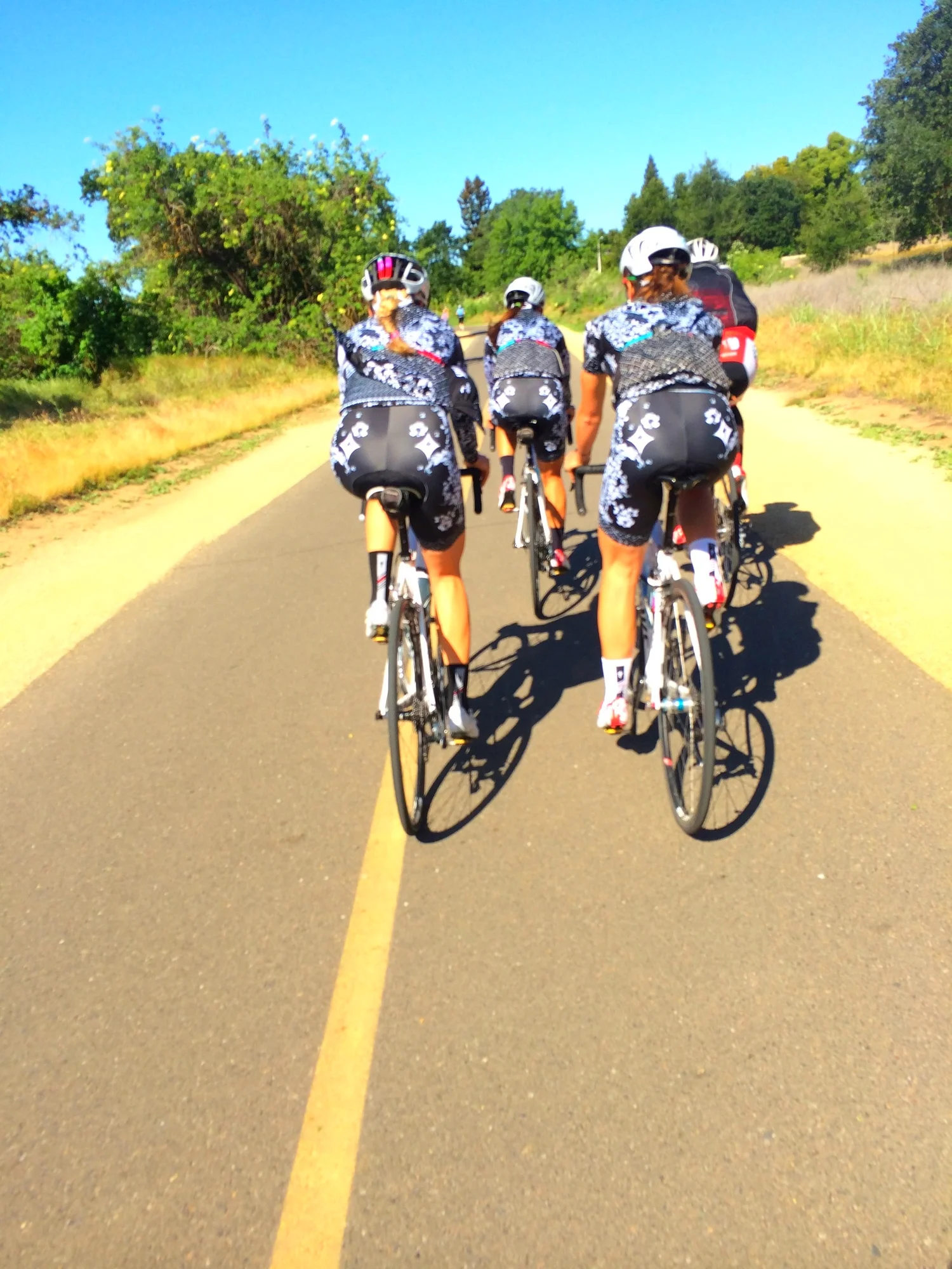 ride to the race, the wild turkeys were off to the sides at any given moment. Thanks for leading, Neil!