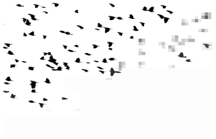 by Marcus, 2007