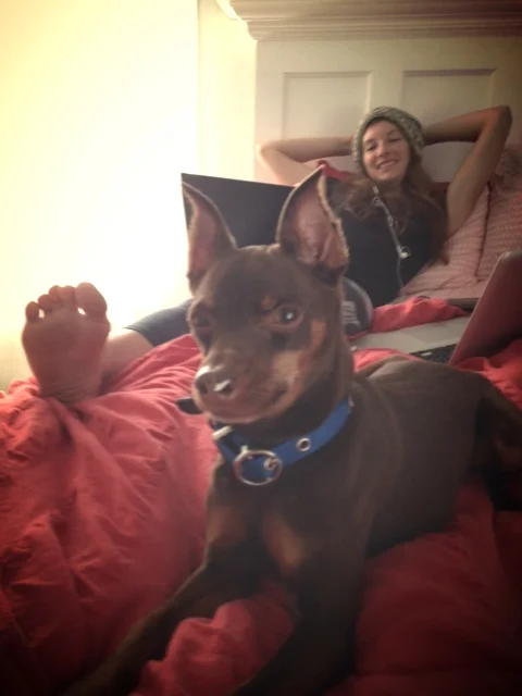 chillin with the pup
