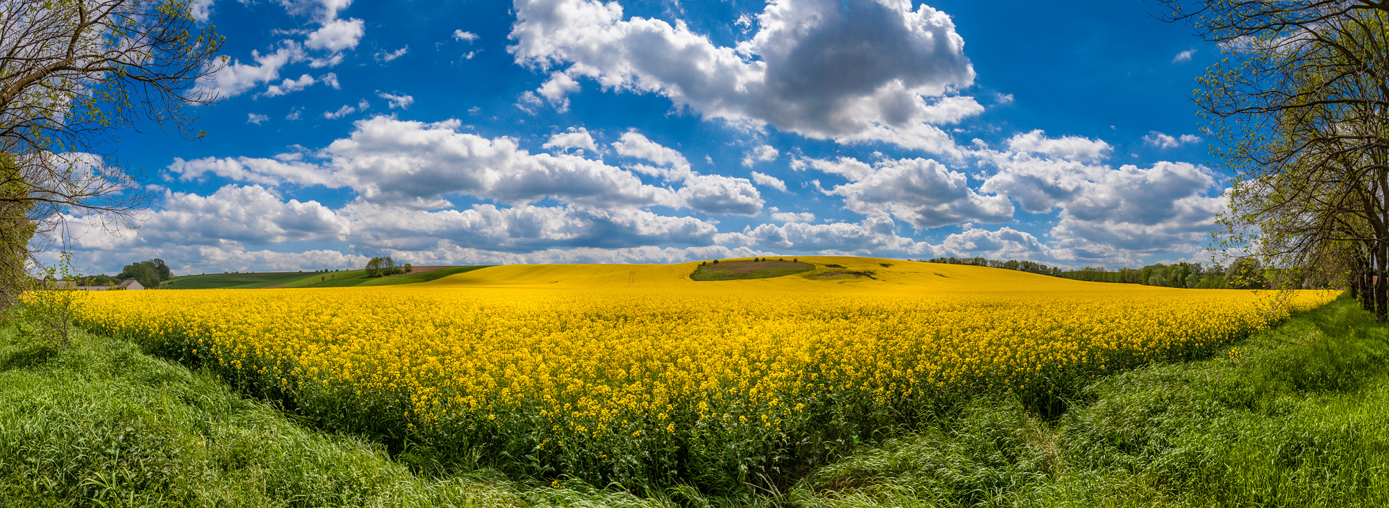 Koszyce, POLAND