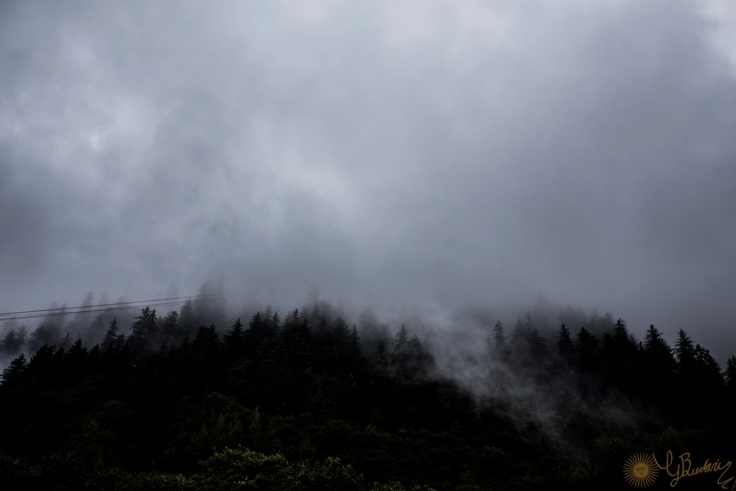 IMG_6542.jpg