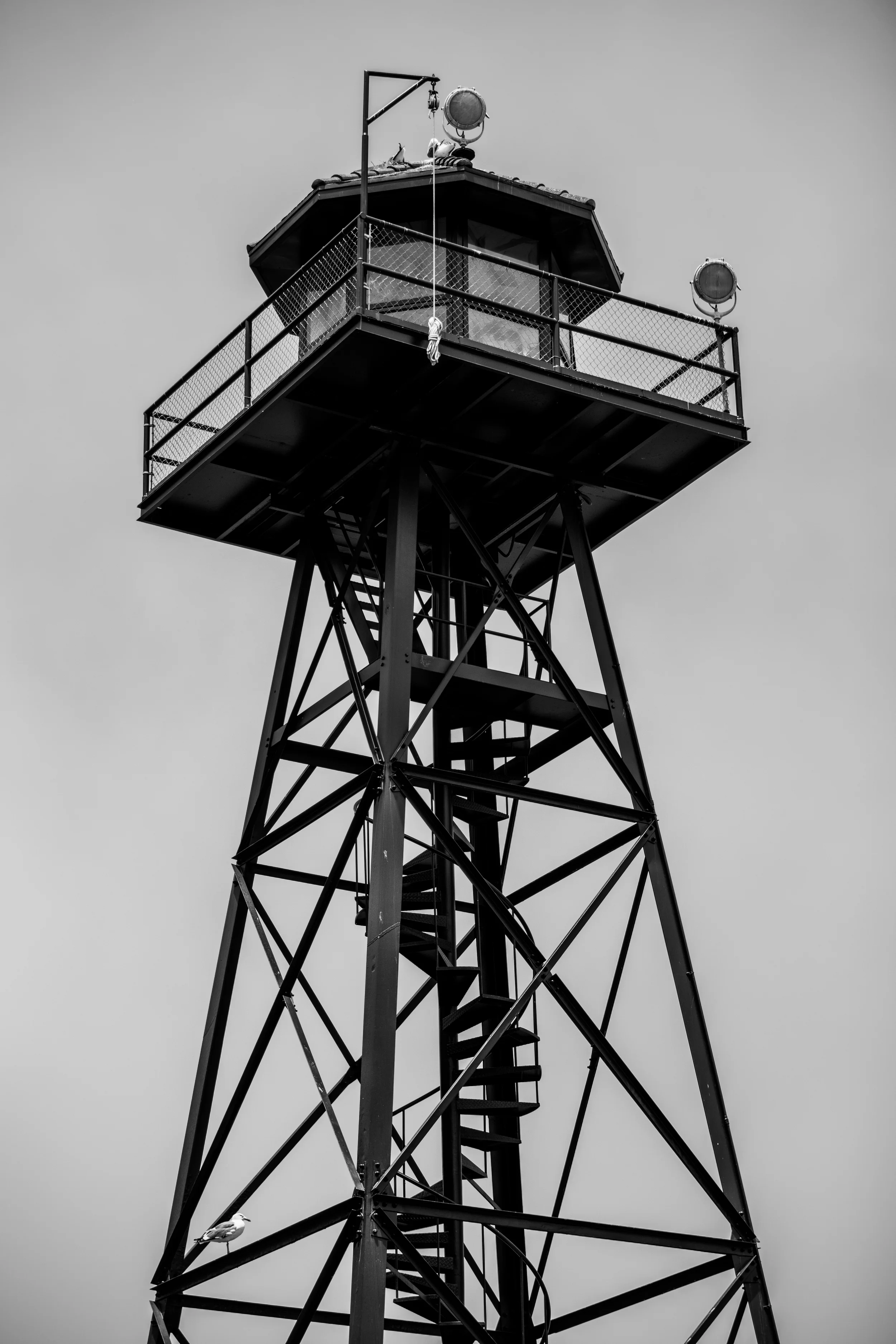 IMG_7676.jpg